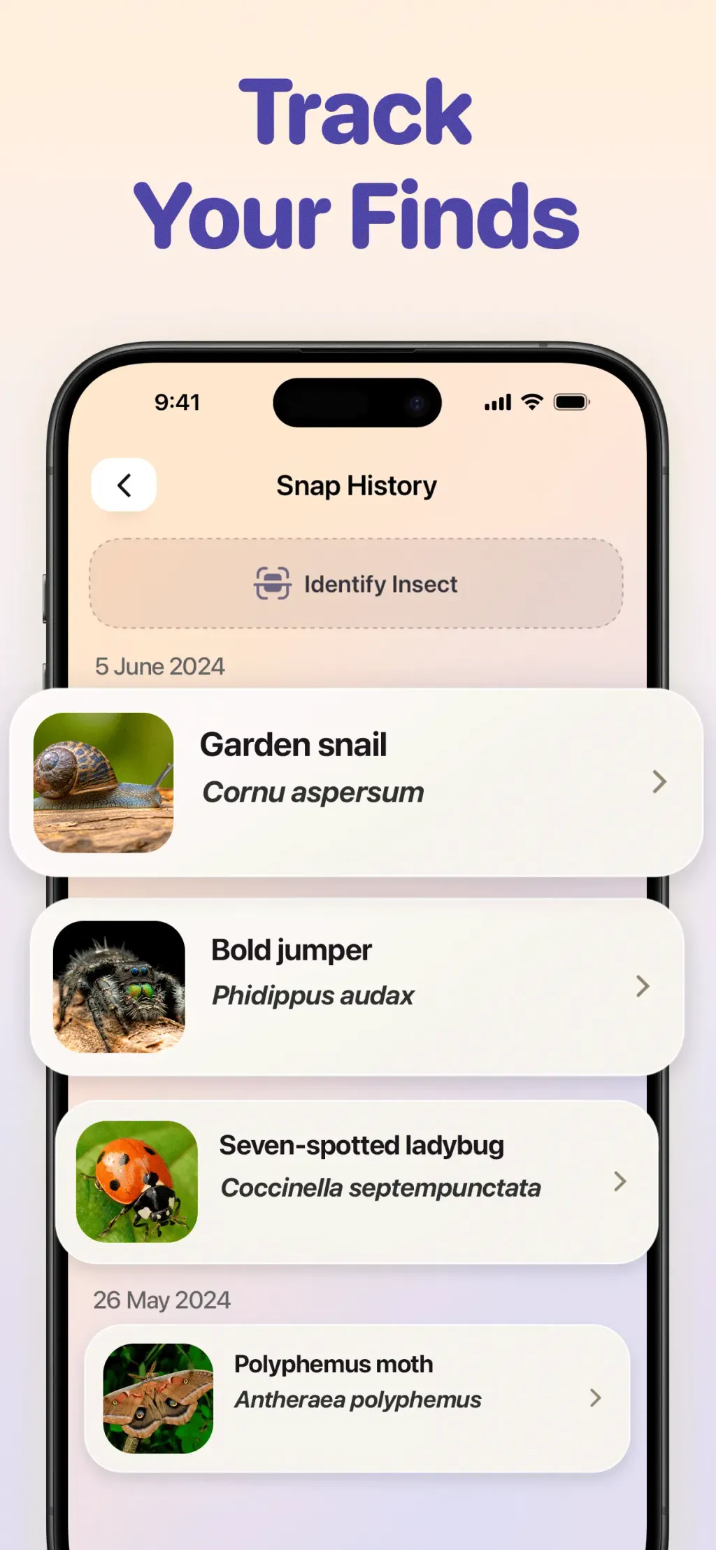 Bug ID - Insect Identifier App Store screenshot 8