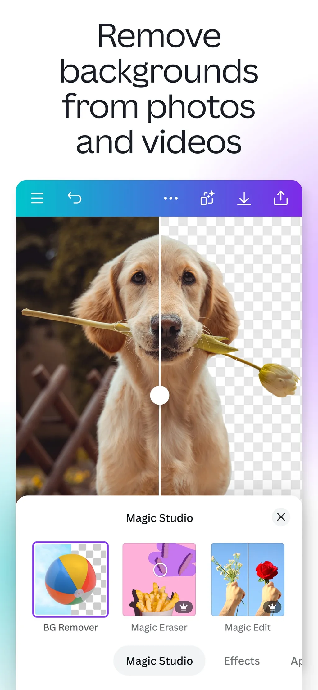 Canva: AI Video & Photo Editor App Store screenshot 8
