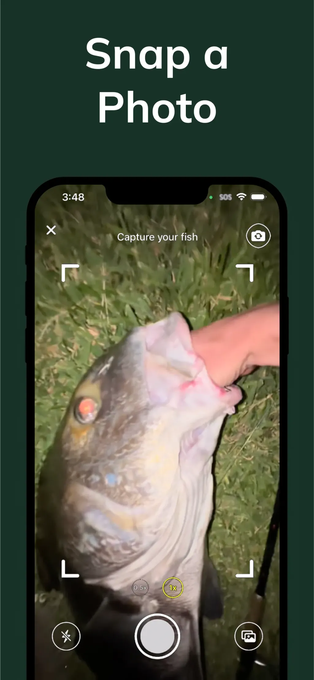 Catchr: Fish Identifier App Store screenshot 2