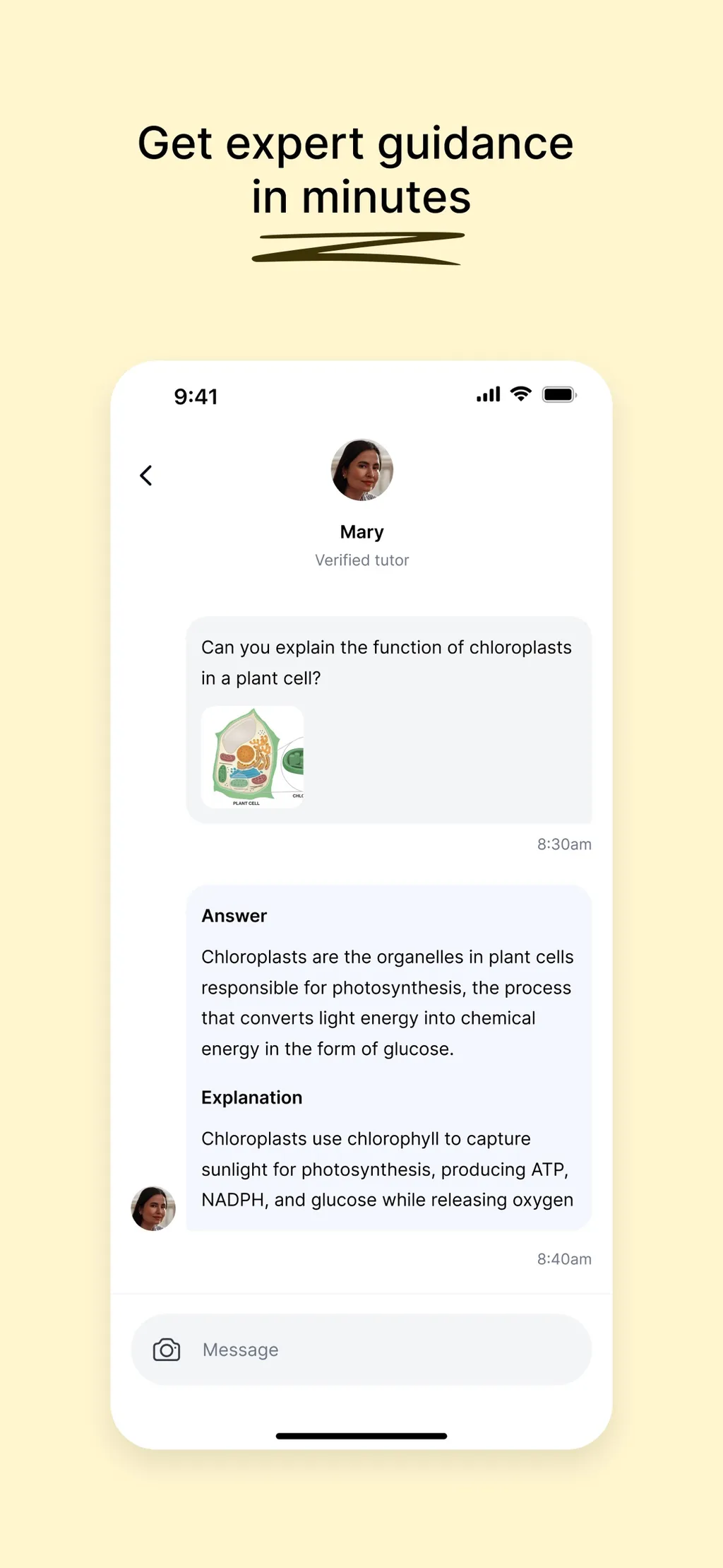 Course Hero: AI Homework Help App Store screenshot 7