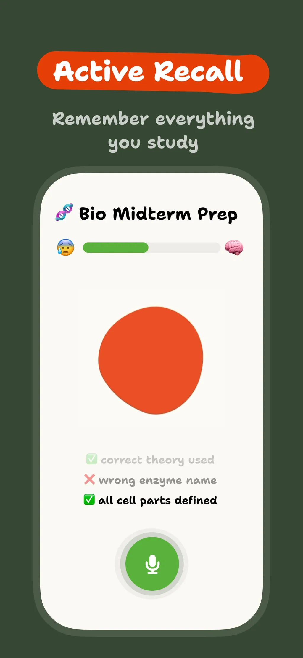 Einstein AI: Homework Helper App Store screenshot 3