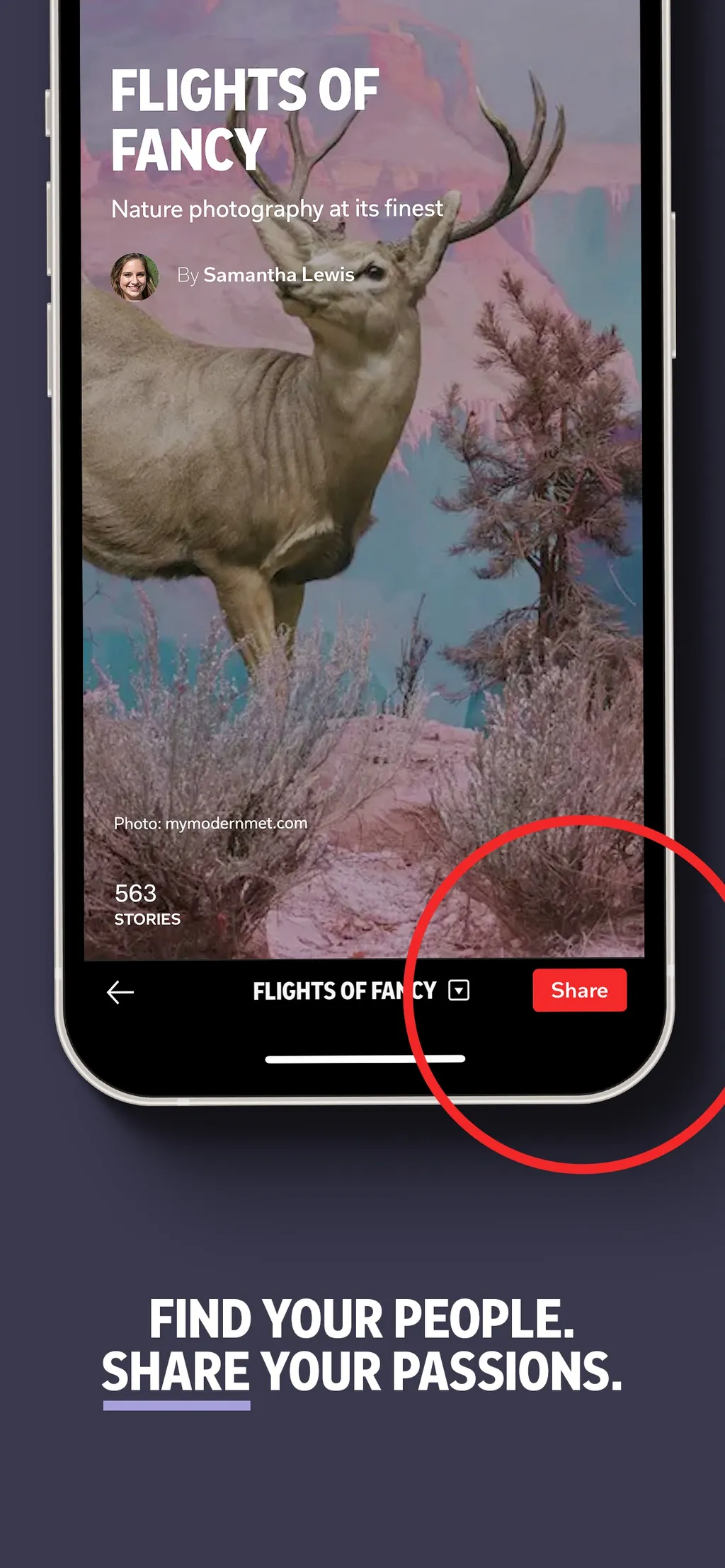 Flipboard: The Social Magazine App Store screenshot 5