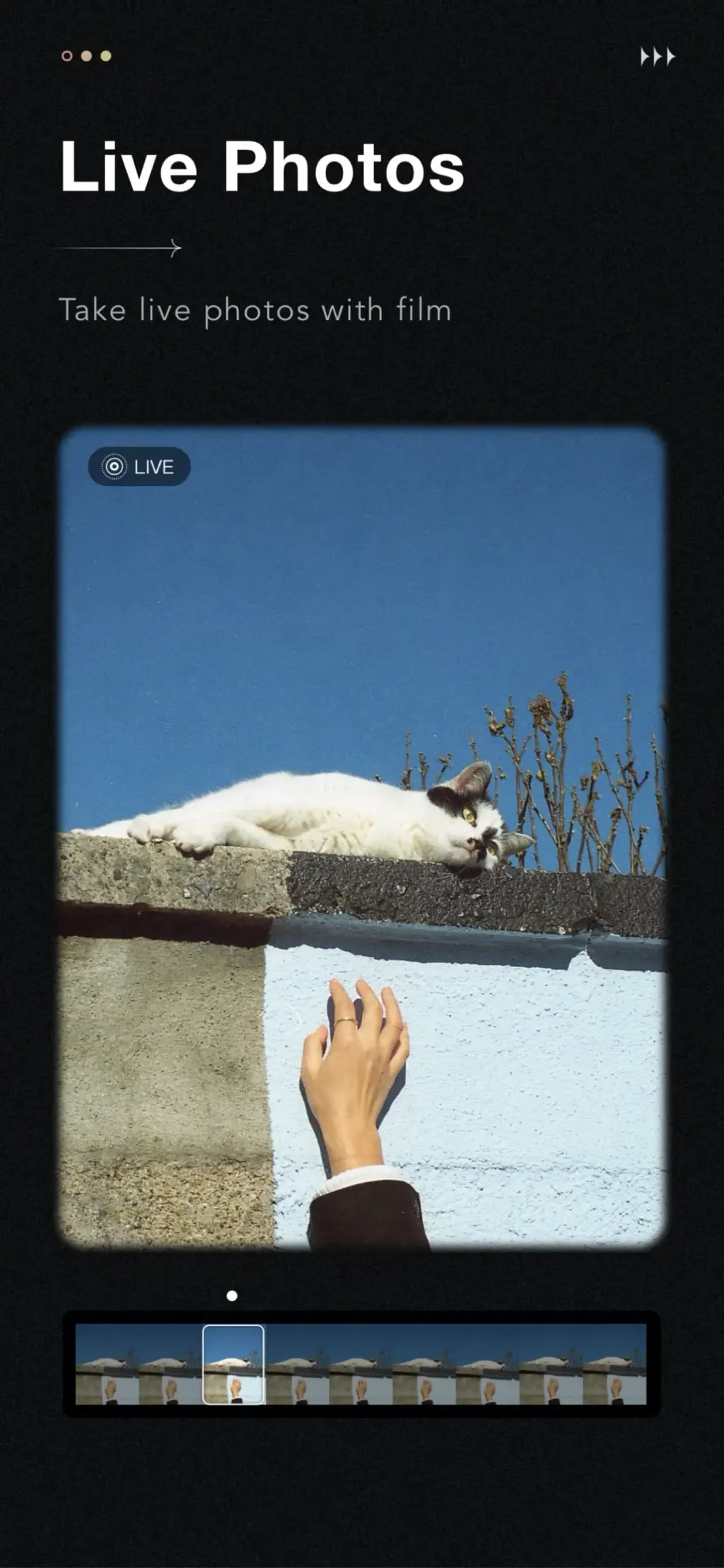 Fomz - Vintage Analog Camera App Store screenshot 6