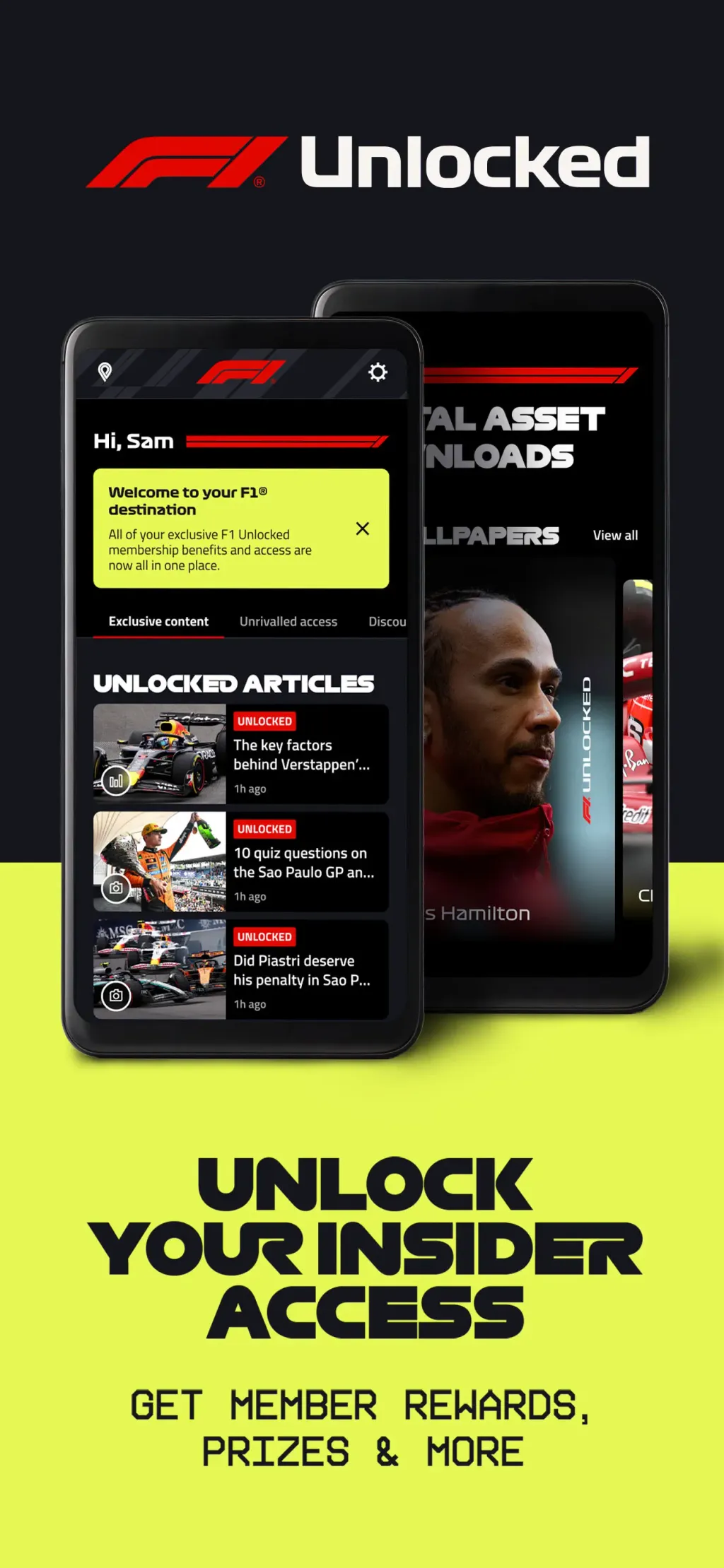 Formula 1® screenshot 3
