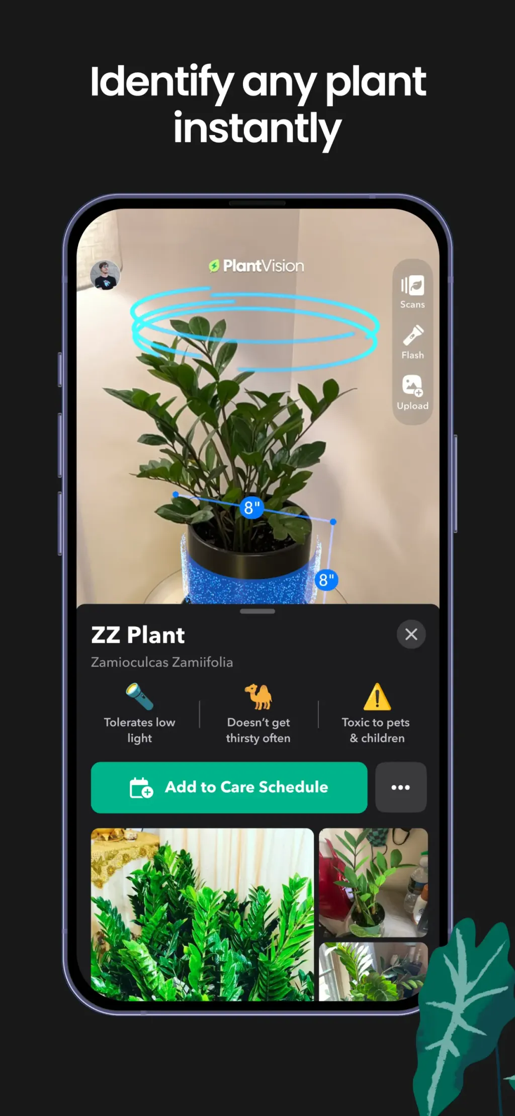 Greg: Plant Identifier & Care screenshot 1