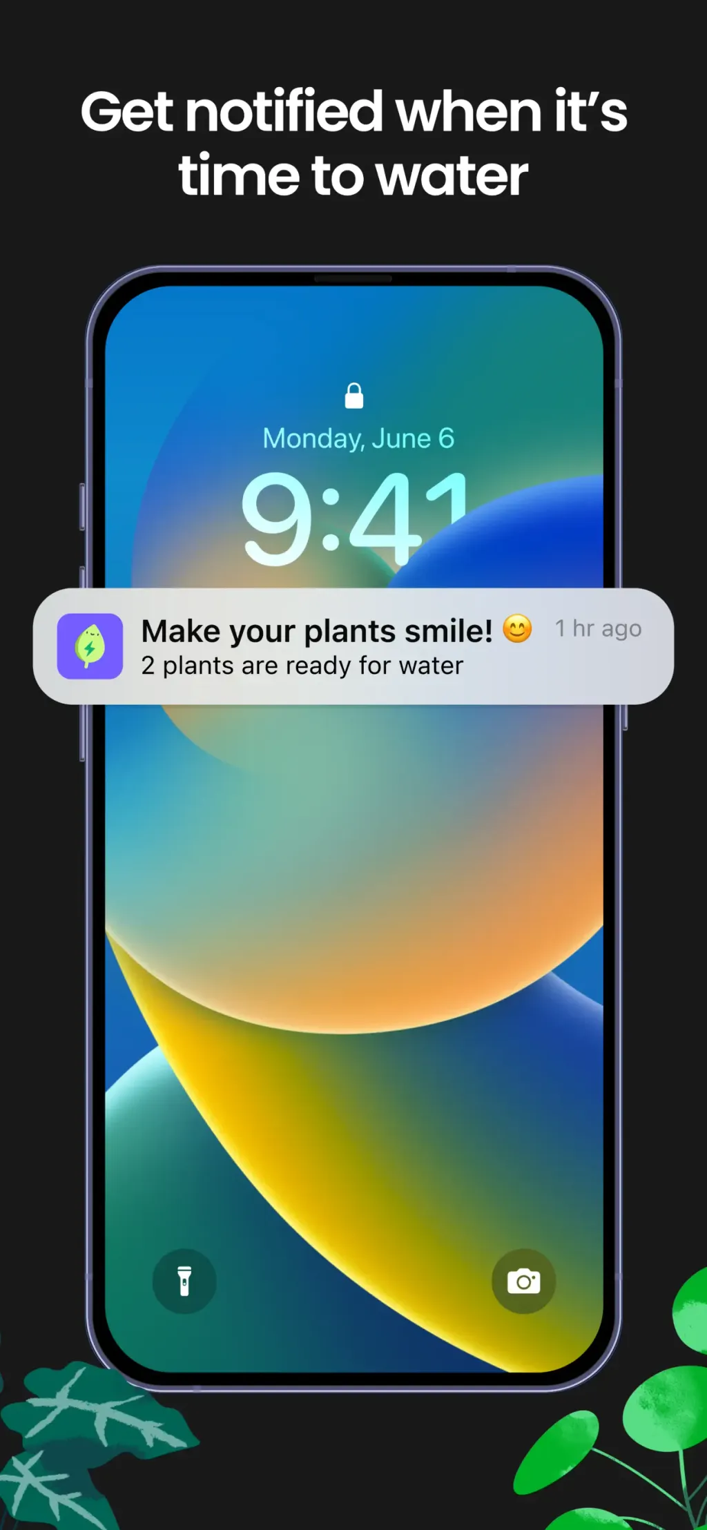 Greg: Plant Identifier & Care App Store screenshot 3