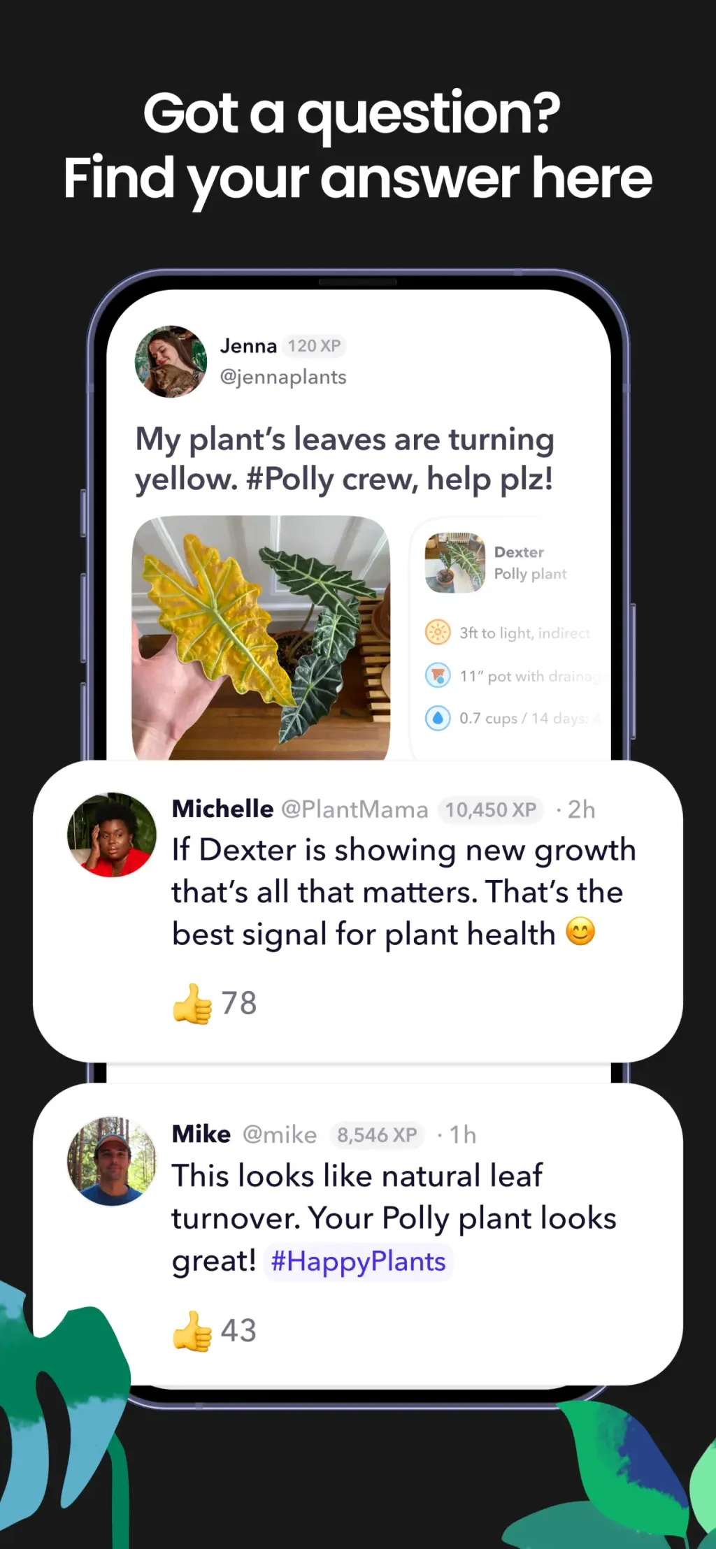Greg: Plant Identifier & Care App Store screenshot 5