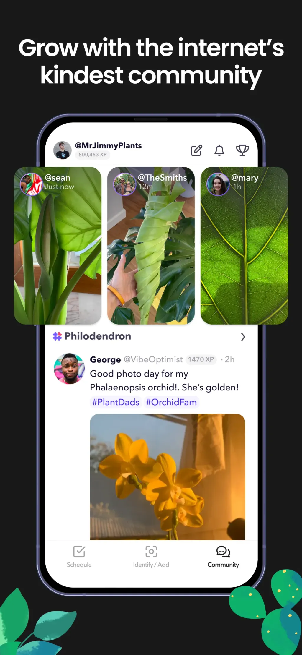 Greg: Plant Identifier & Care App Store screenshot 6