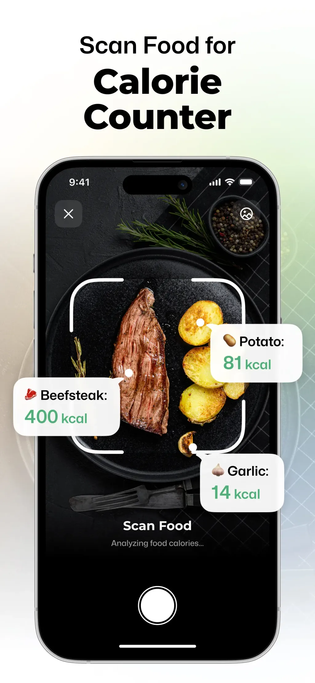 Wellance – AI Health & Balance screenshot 1
