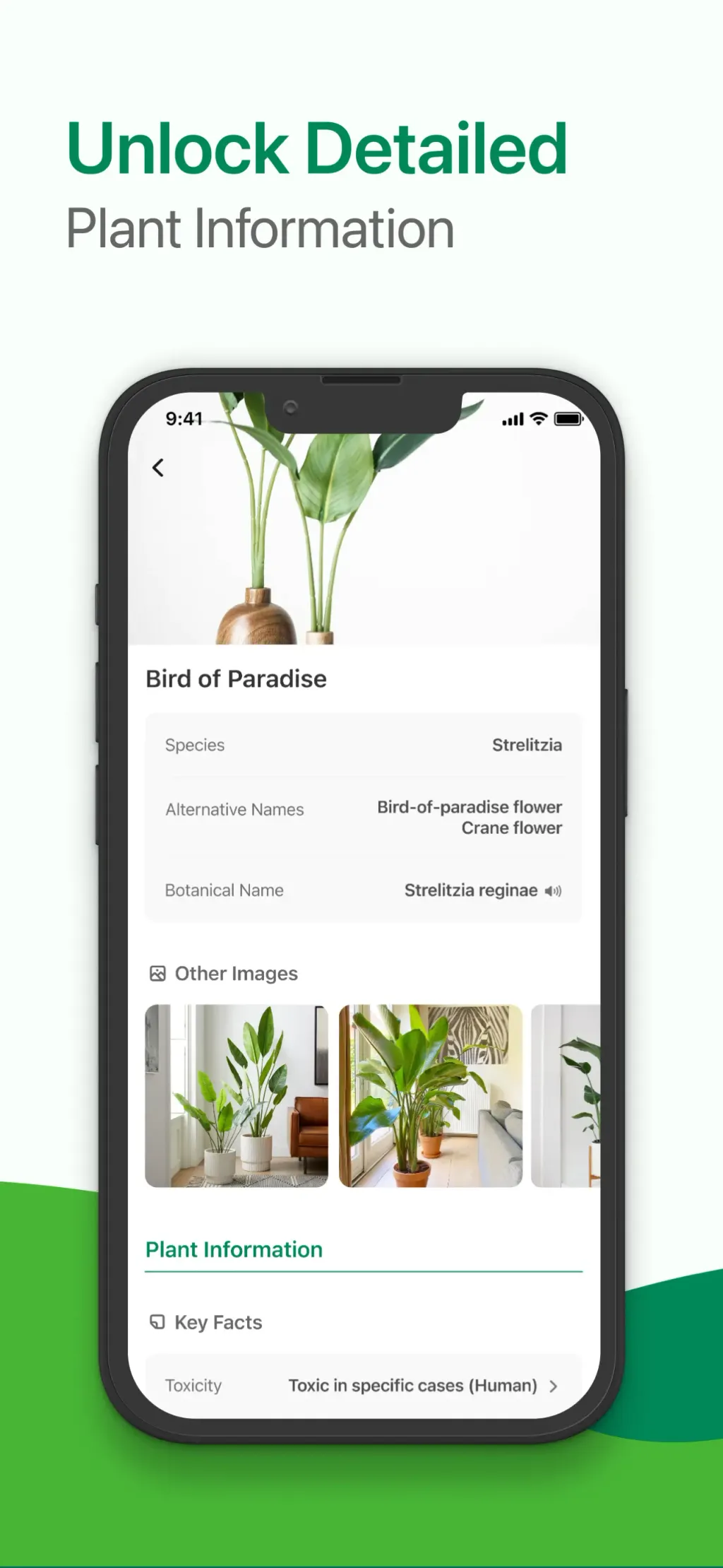 Identify My Plant Now App Store screenshot 2