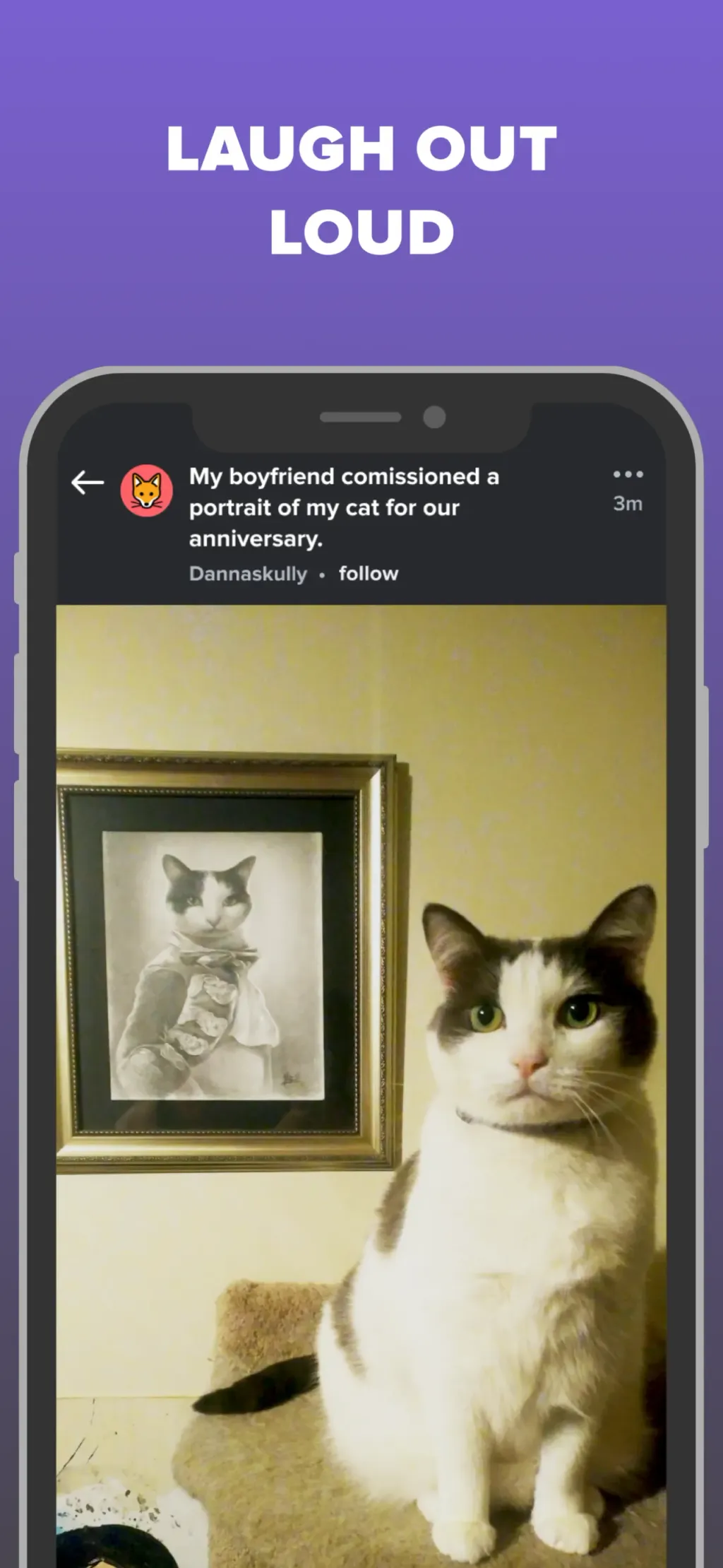 Imgur: Funny Memes & GIF Maker App Store screenshot 4