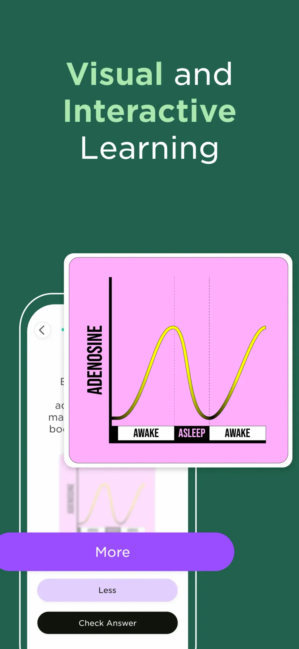 Imprint: Visual Micro Learning App Store screenshot 2
