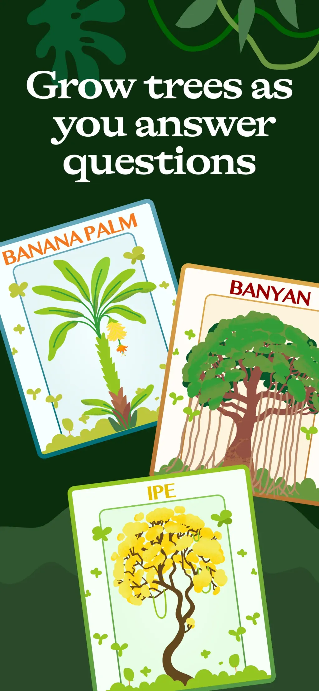 Jungle: AI Flashcards & Quiz App Store screenshot 5