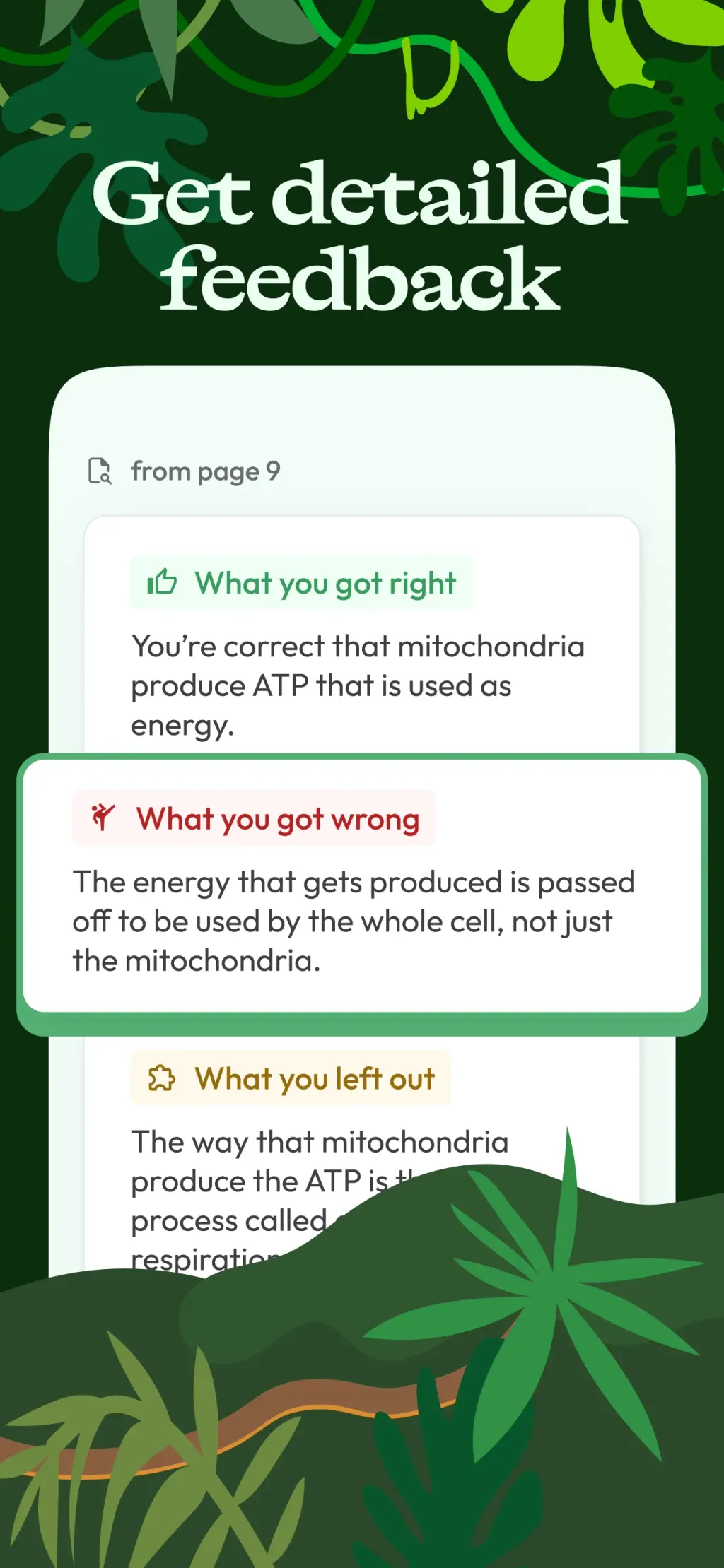 Jungle: AI Flashcards & Quiz App Store screenshot 6