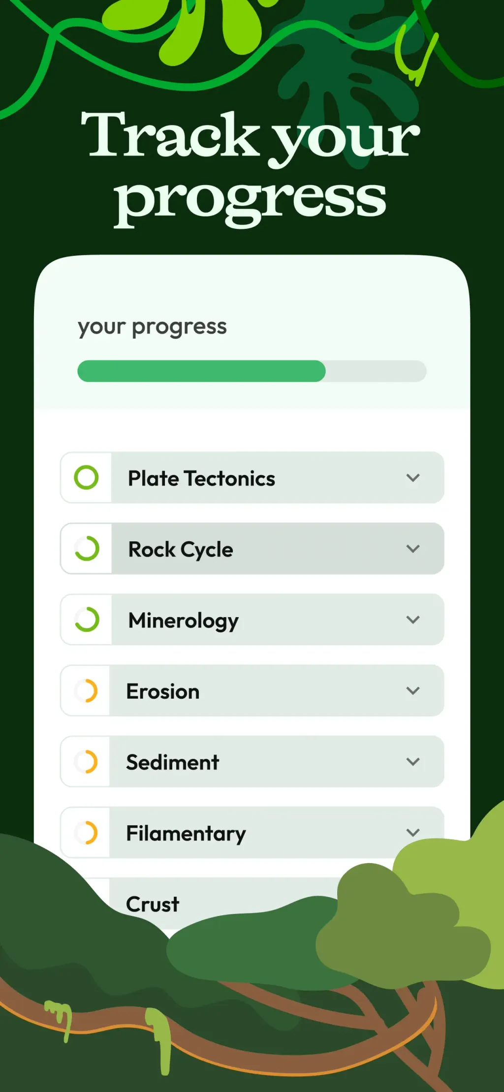 Jungle: AI Flashcards & Quiz App Store screenshot 7