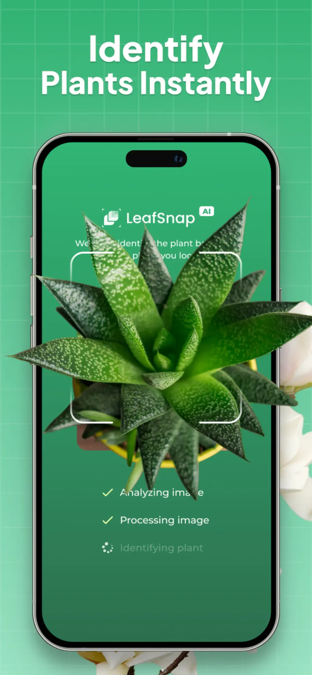 Plant Identifier: LeafSnap App Store screenshot 1
