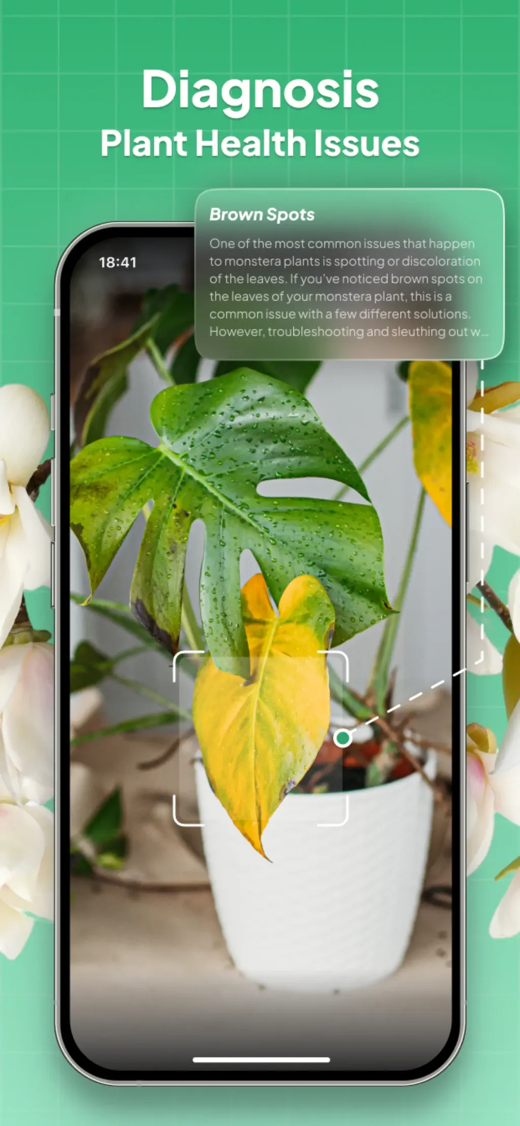 Plant Identifier: LeafSnap App Store screenshot 3