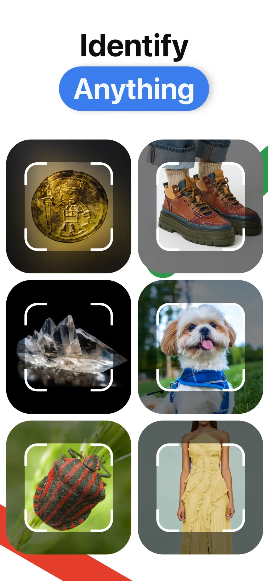 Lens AI: Identify Anything screenshot 2