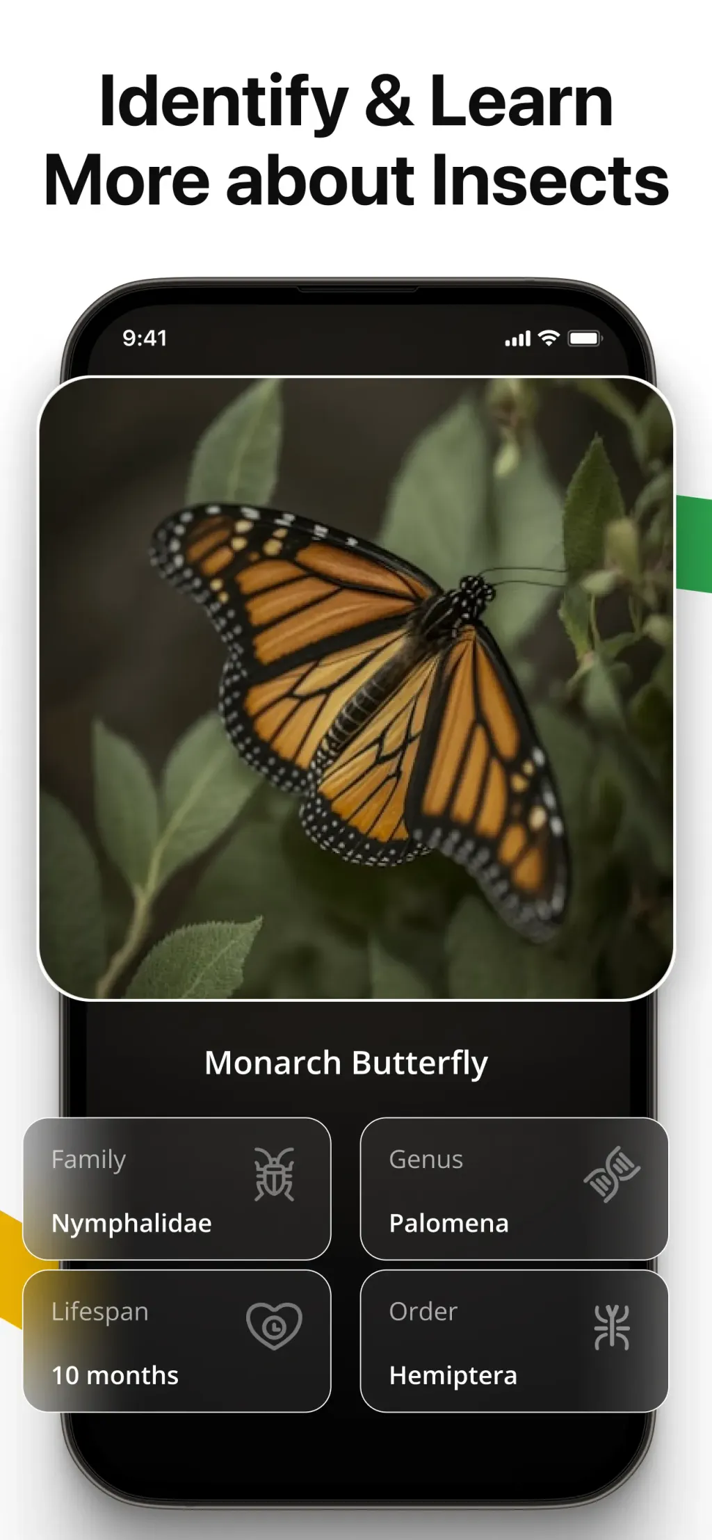 Lens AI: Identify Anything screenshot 1