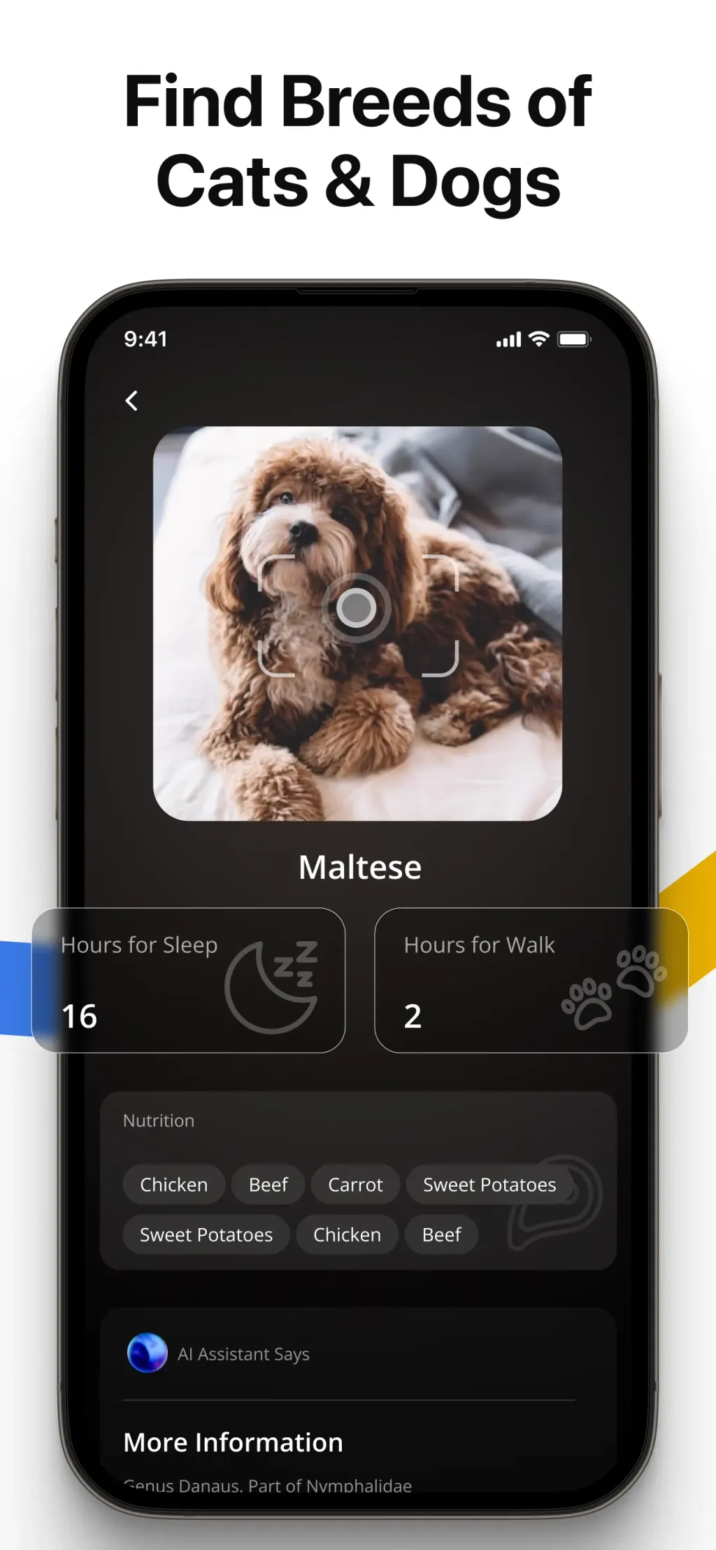 Lens AI: Identify Anything App Store screenshot 6