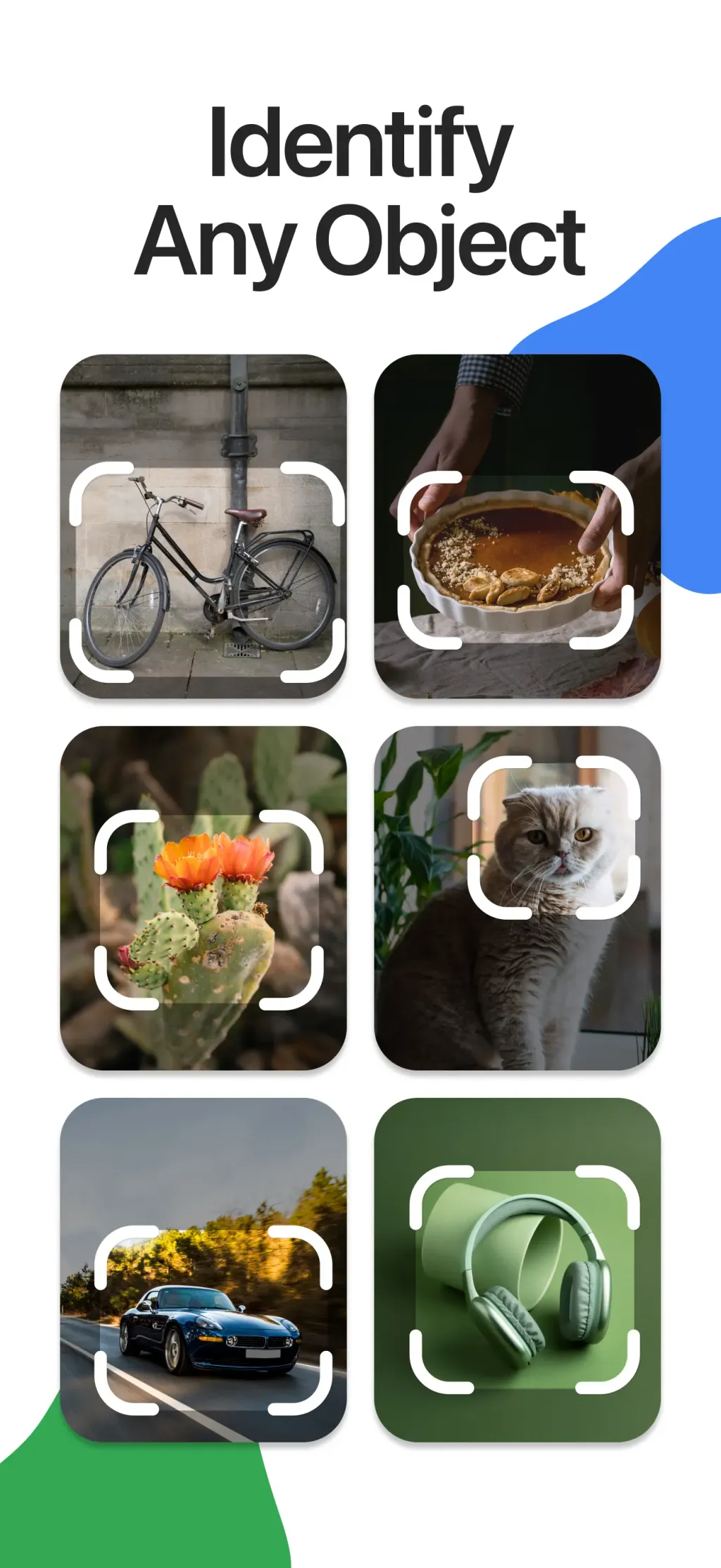 Lens Scan: Identify Anything screenshot 1