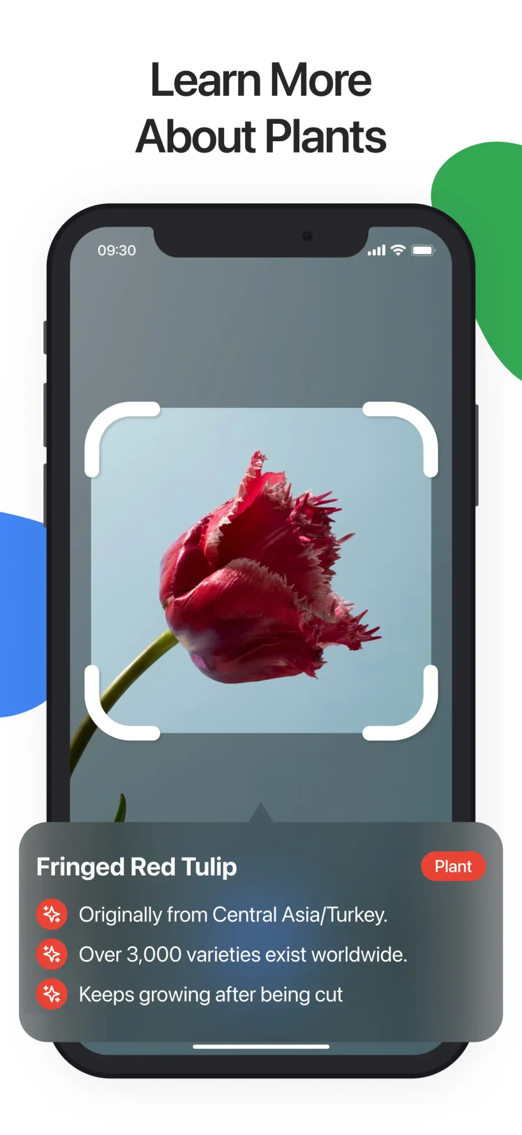 Lens Scan: Identify Anything App Store screenshot 4
