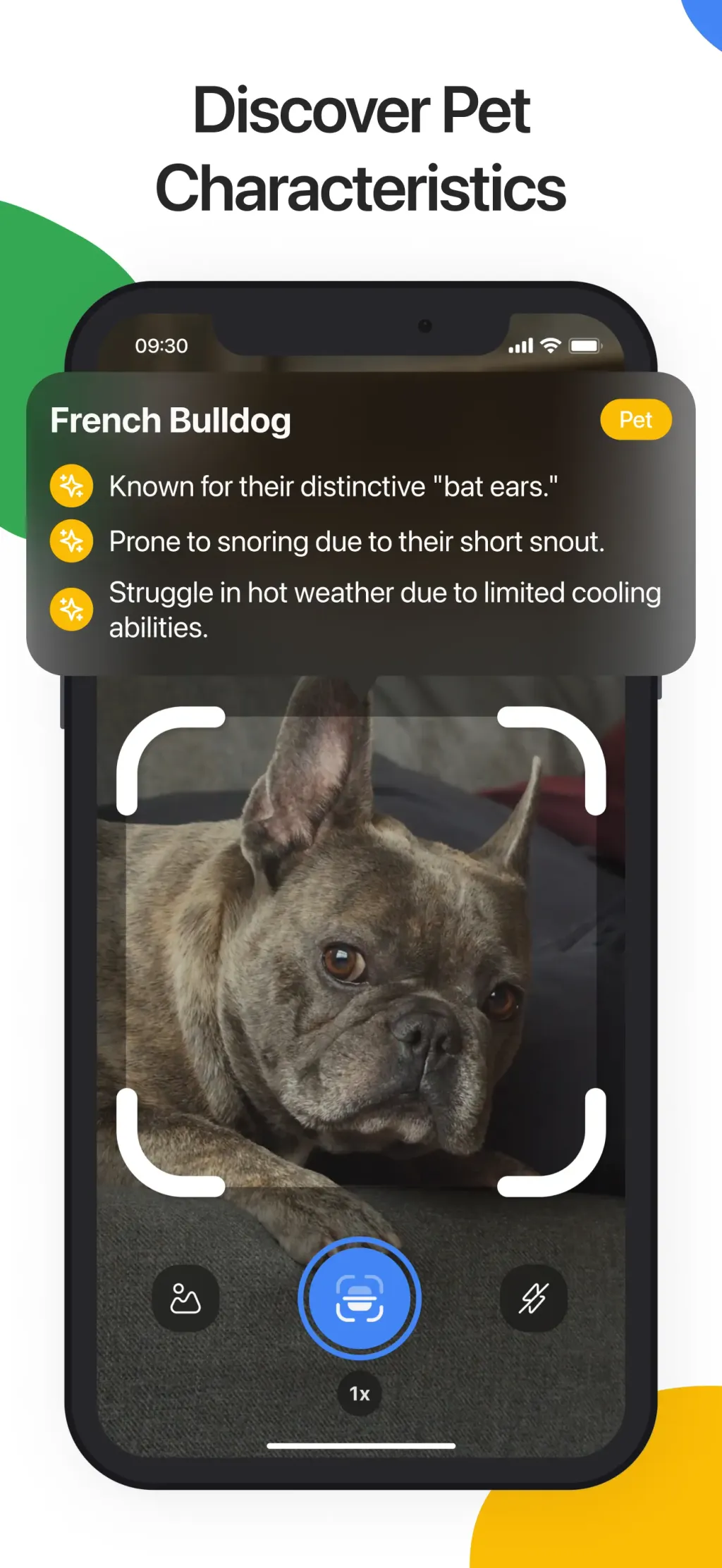Lens Scan: Identify Anything App Store screenshot 5