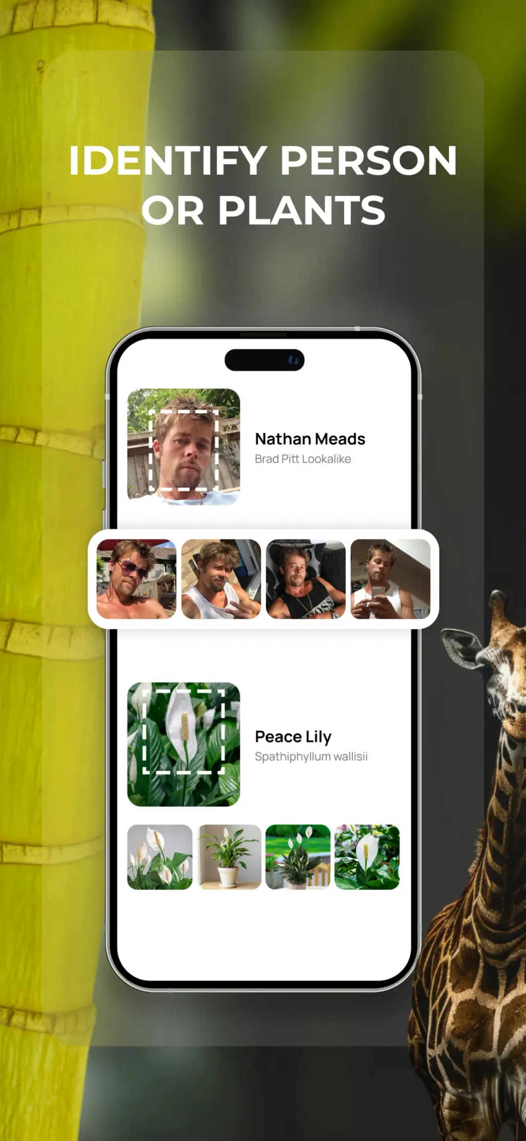 Lens: Translate & Image Search screenshot 1