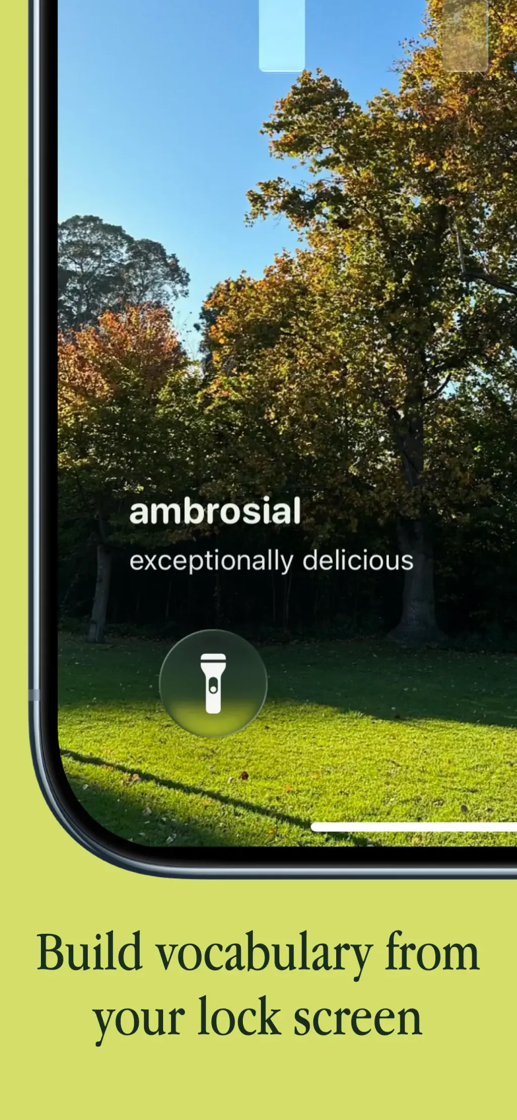 LookUp: English Dictionary App Store screenshot 2