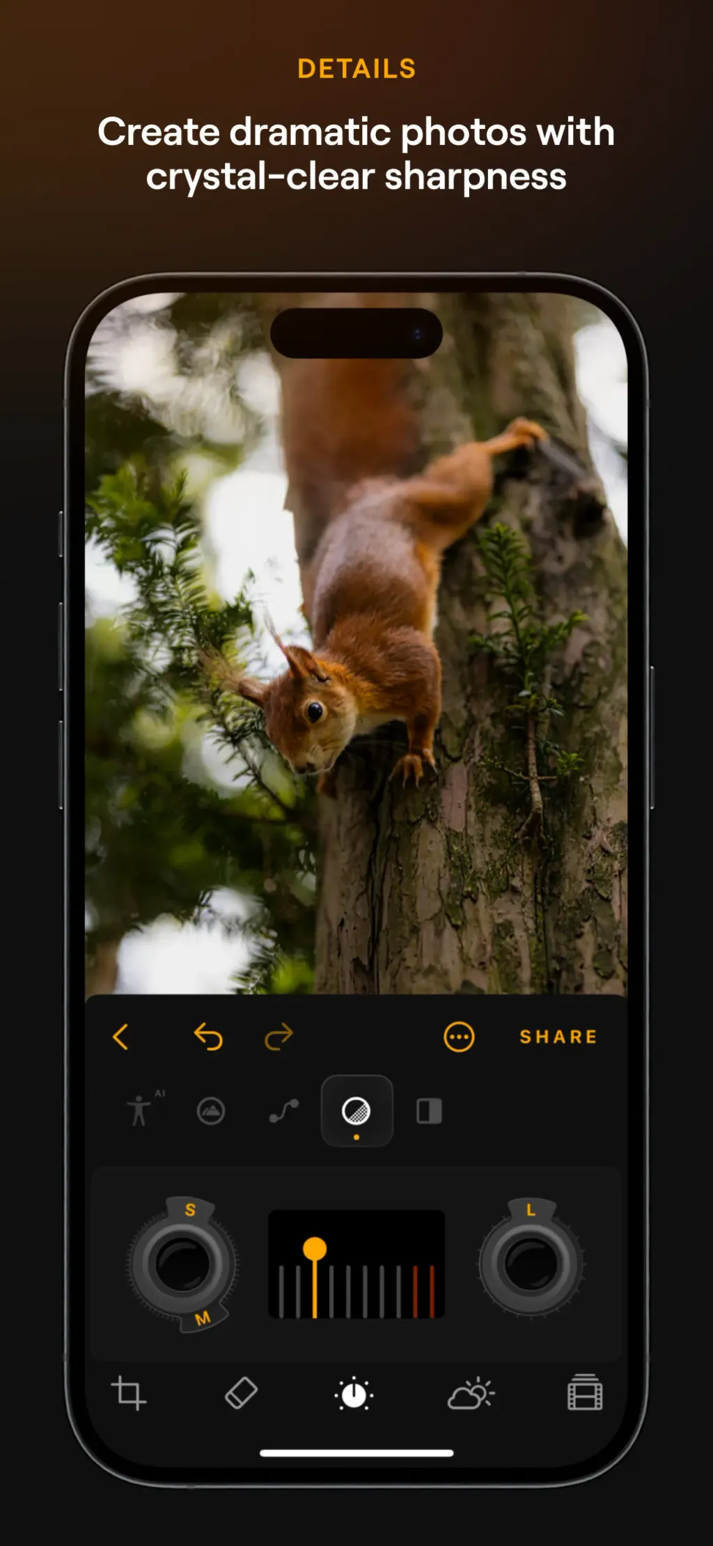 Luminar: Image Editor&Enhancer App Store screenshot 10