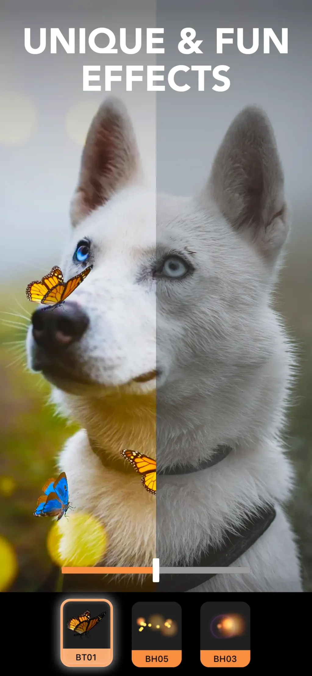 Motionleap: 3D Photo Animator App Store screenshot 6