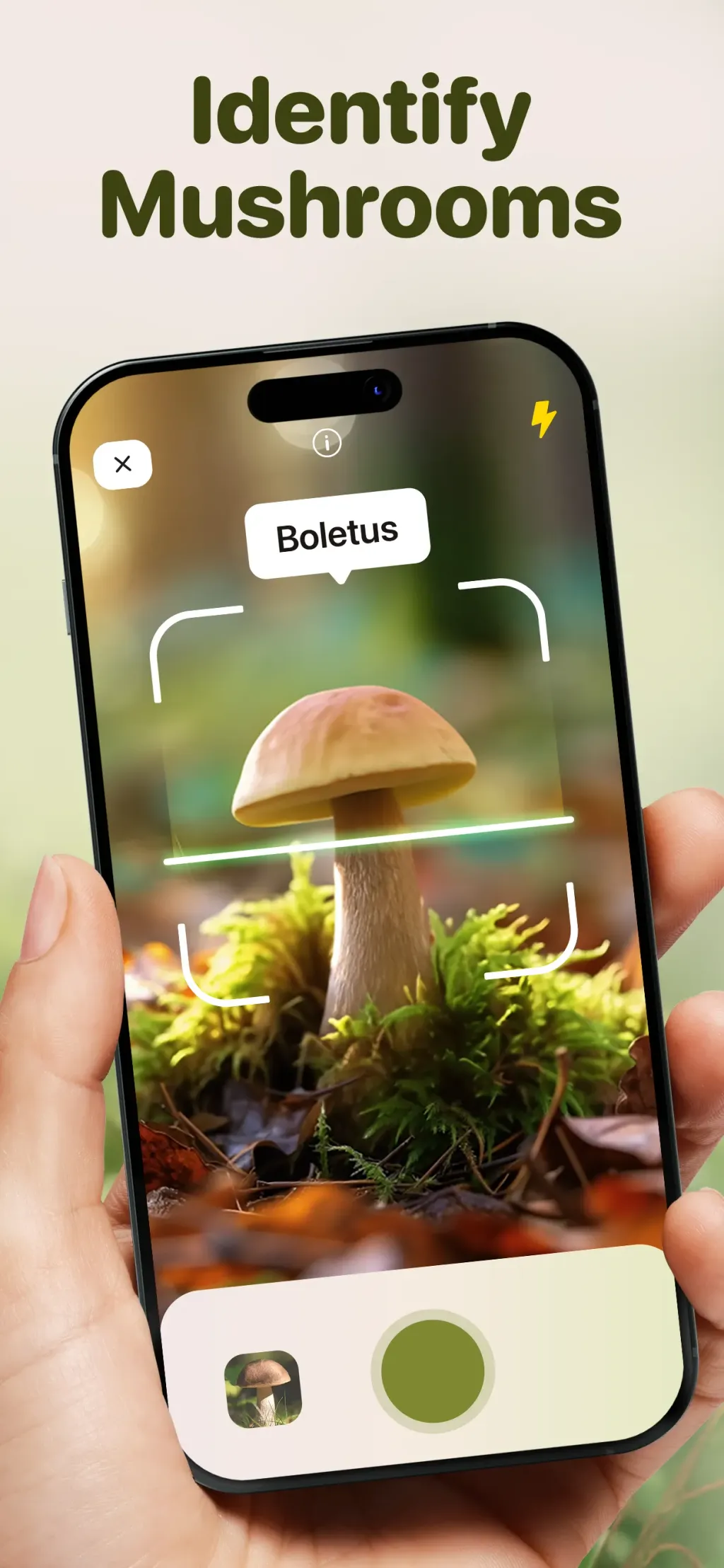 Mushroom ID: Forage Identifier screenshot 1