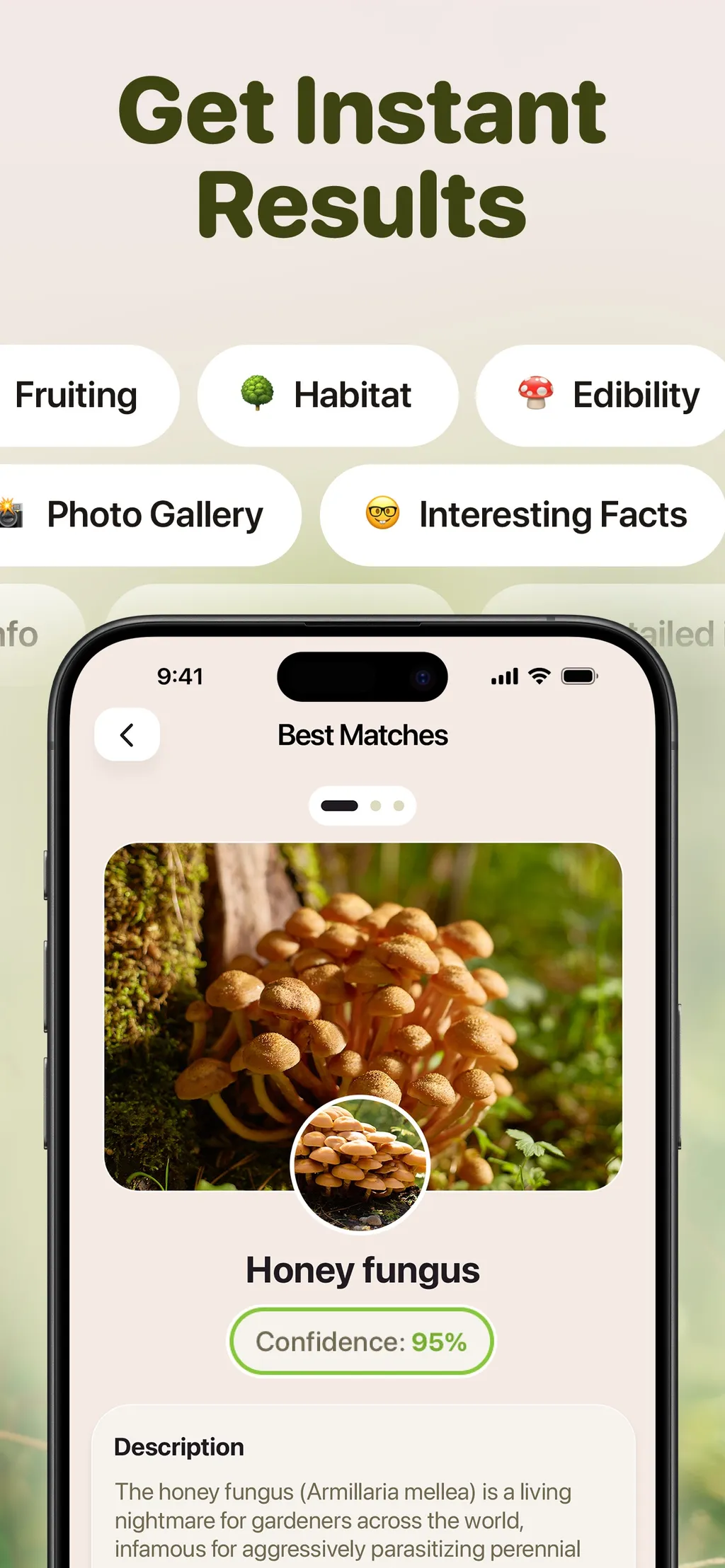 Mushroom ID: Forage Identifier screenshot 3