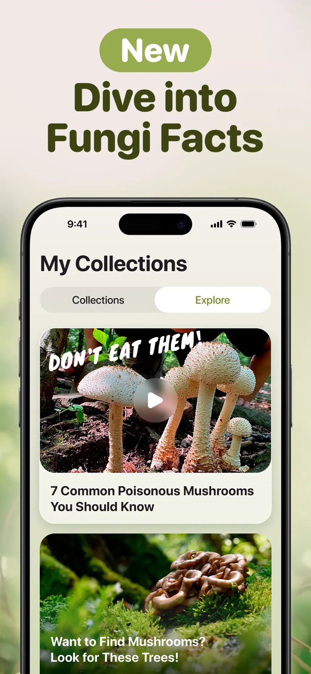 Mushroom ID: Forage Identifier screenshot 2