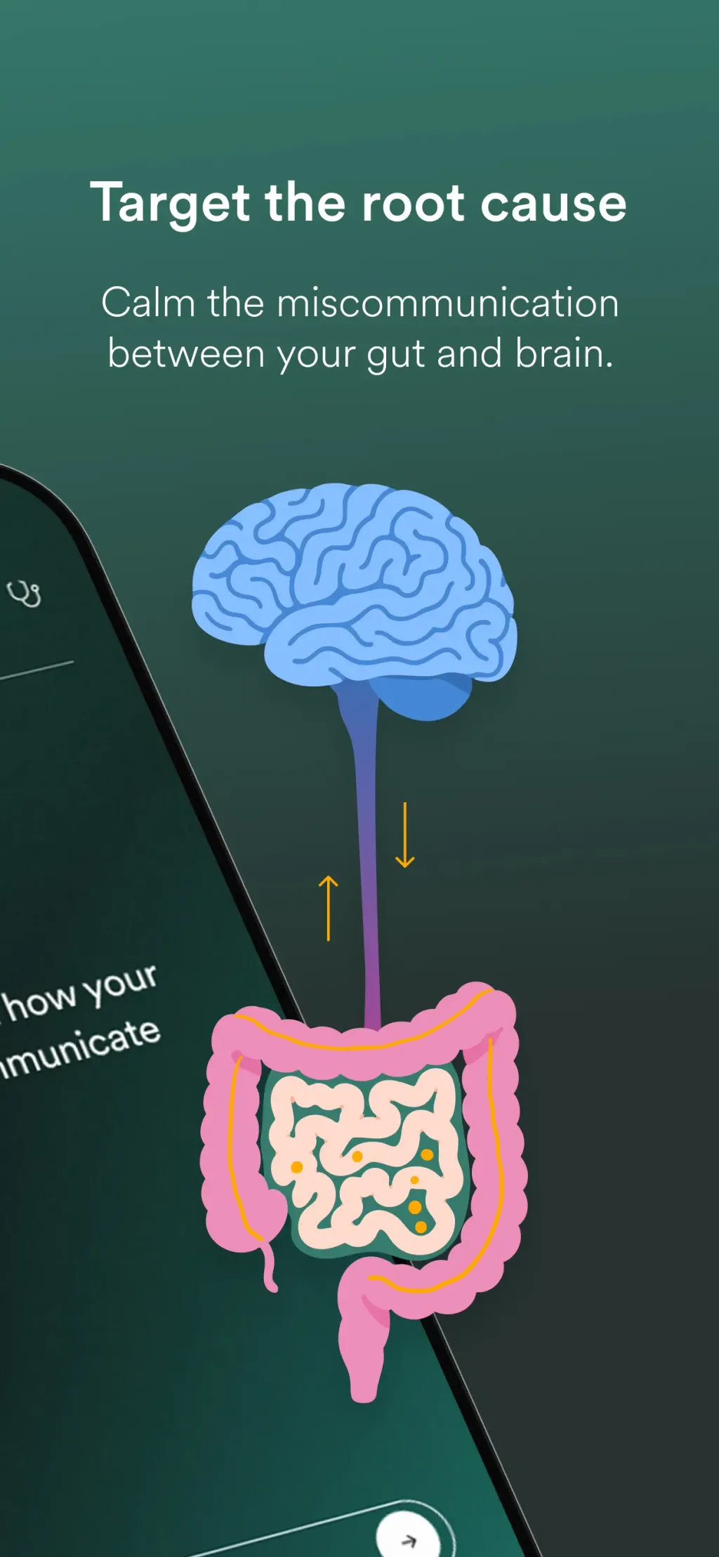 Nerva: Gut-Brain Therapy App Store screenshot 2