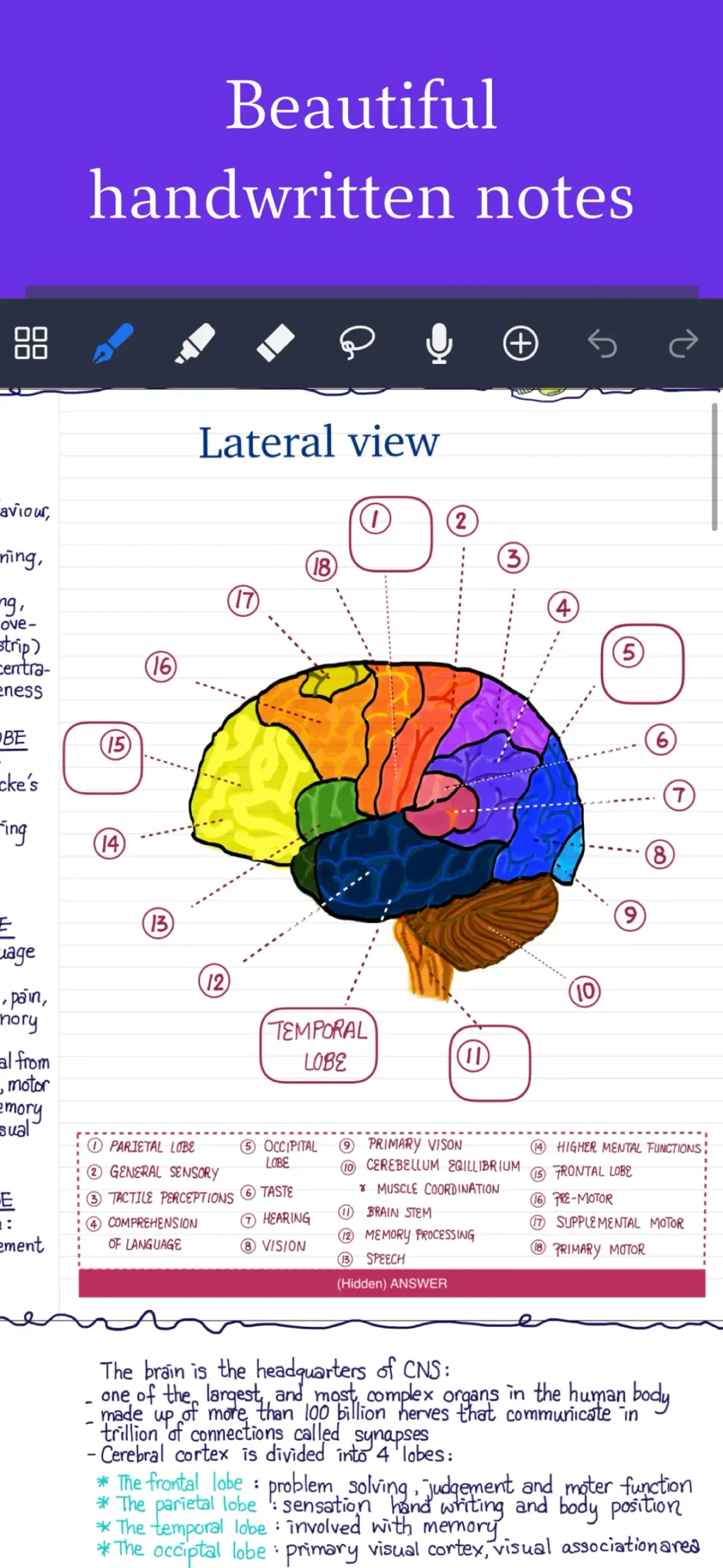 Noteful: Notes & PDF Markup App Store screenshot 1