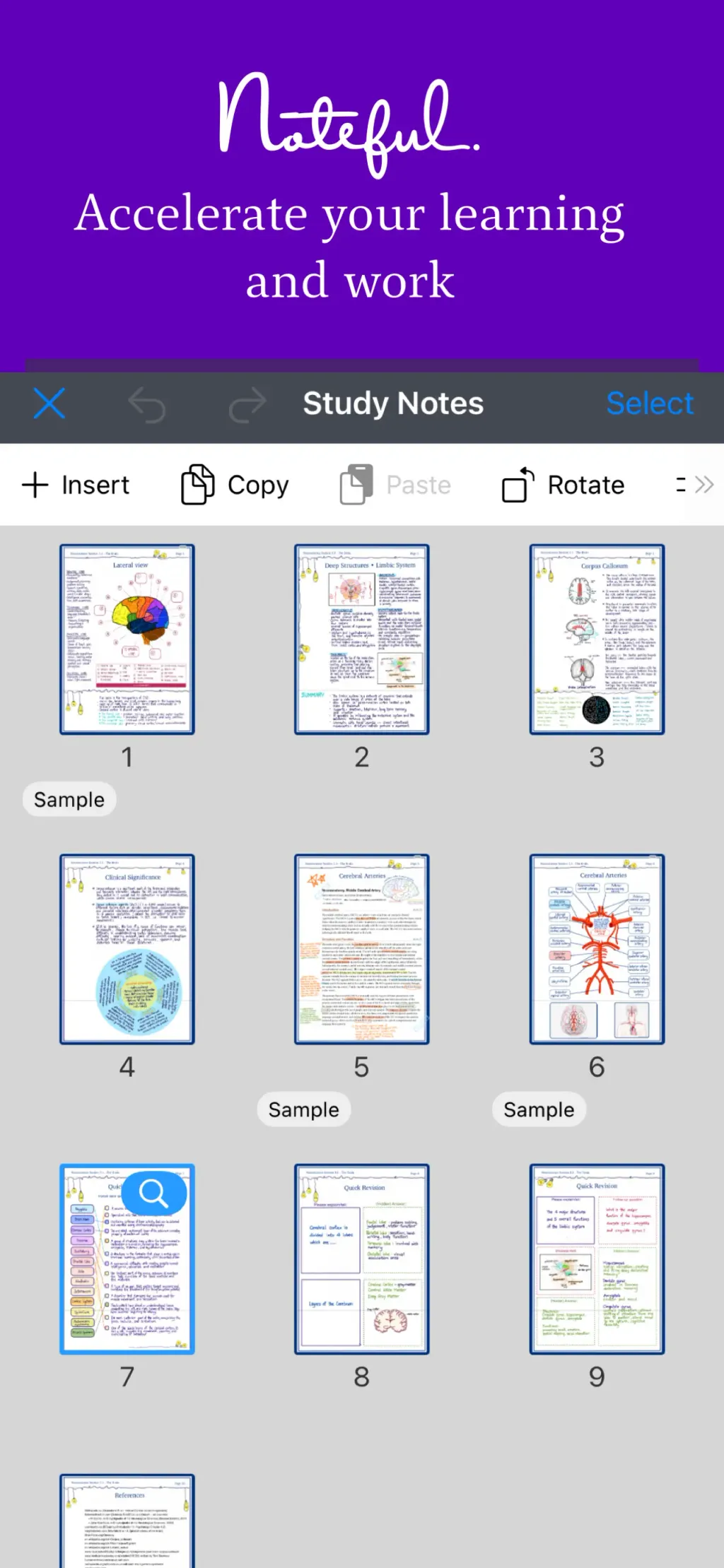 Noteful: Notes & PDF Markup App Store screenshot 8