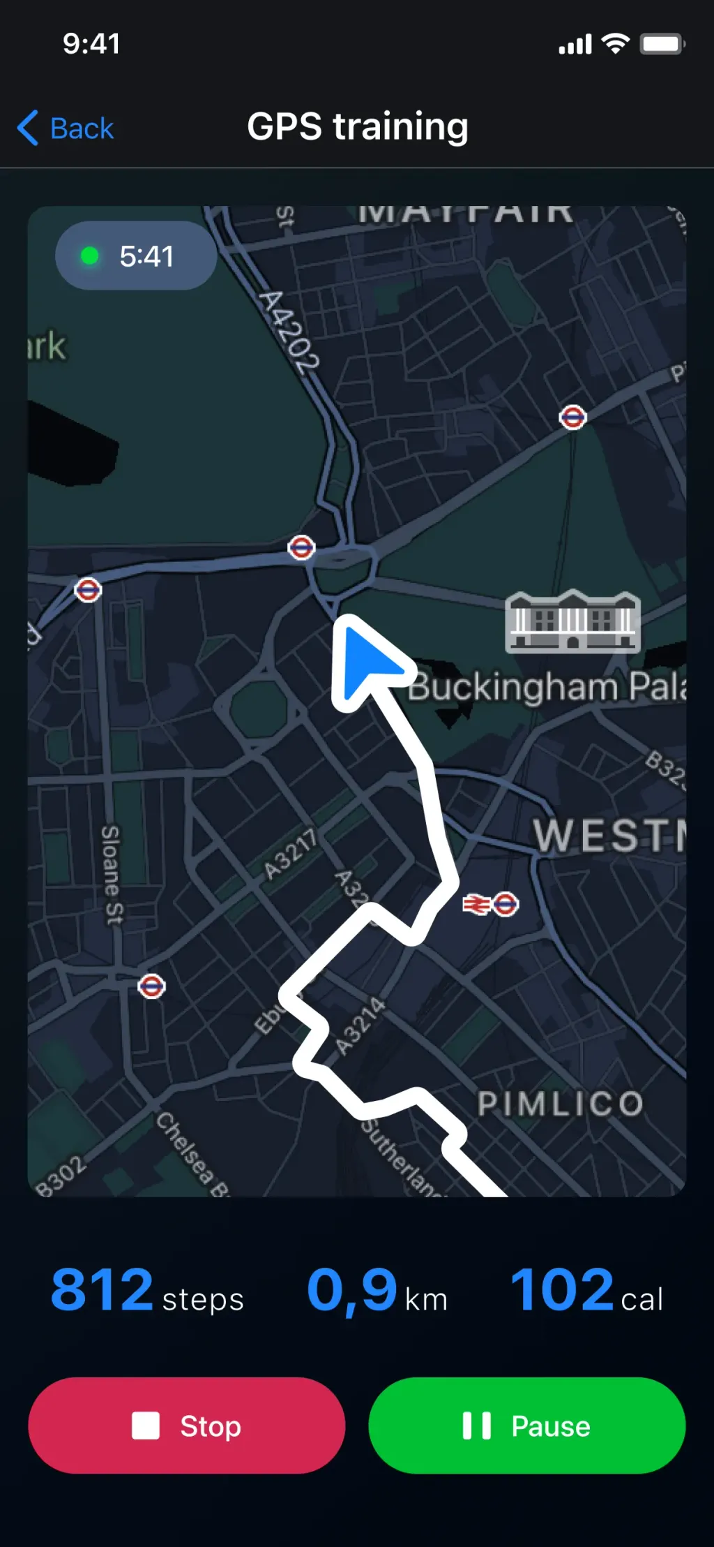 Pedometer - Run & Step Counter App Store screenshot 2