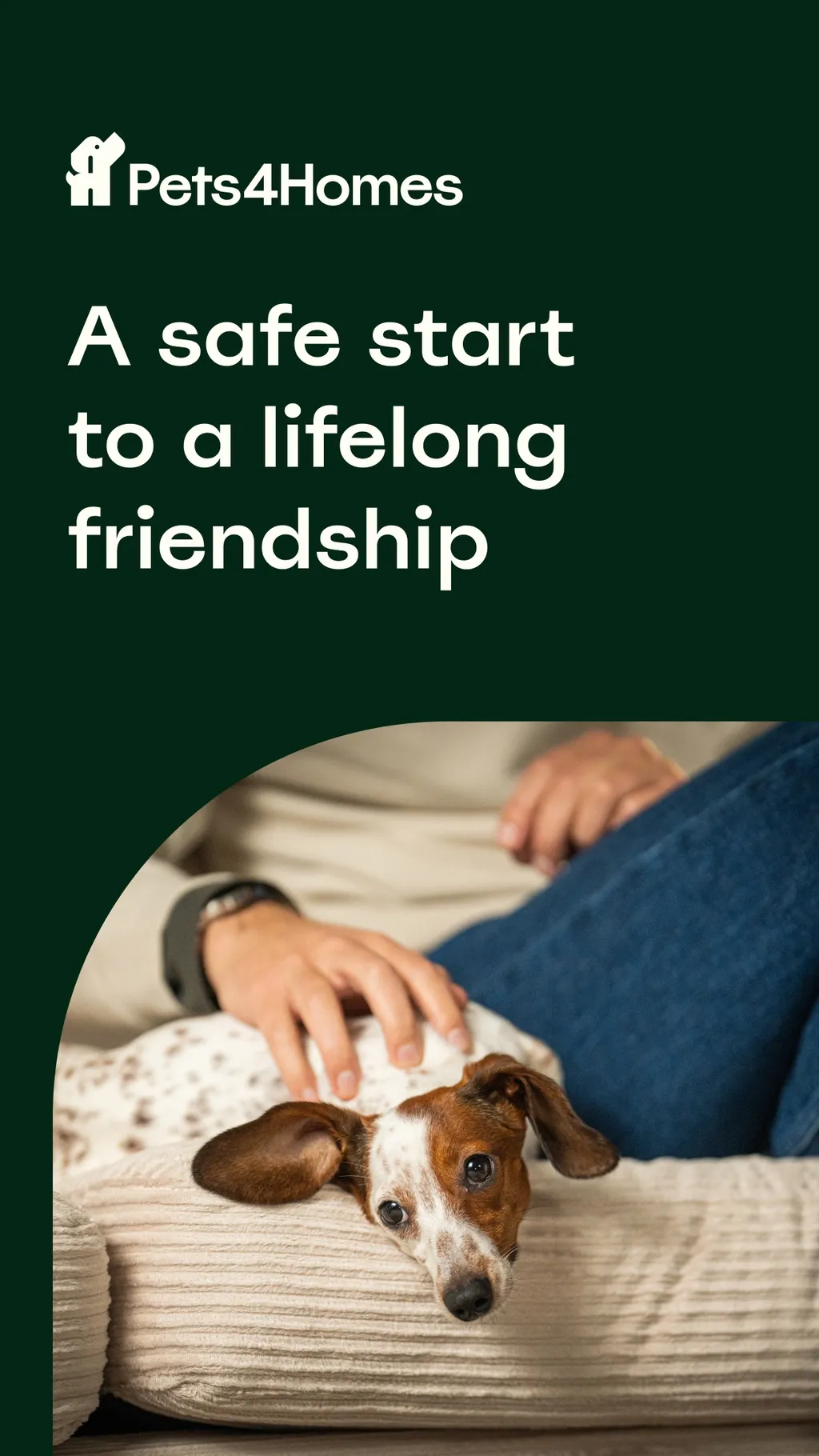 Pets4Homes: Dogs, Cats, Pets App Store screenshot 2