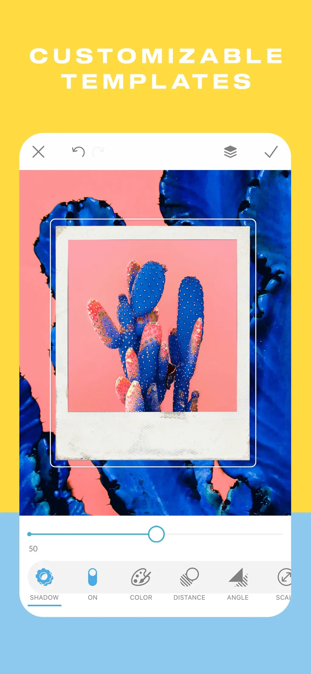 PicMonkey Photo + Video Design App Store screenshot 7
