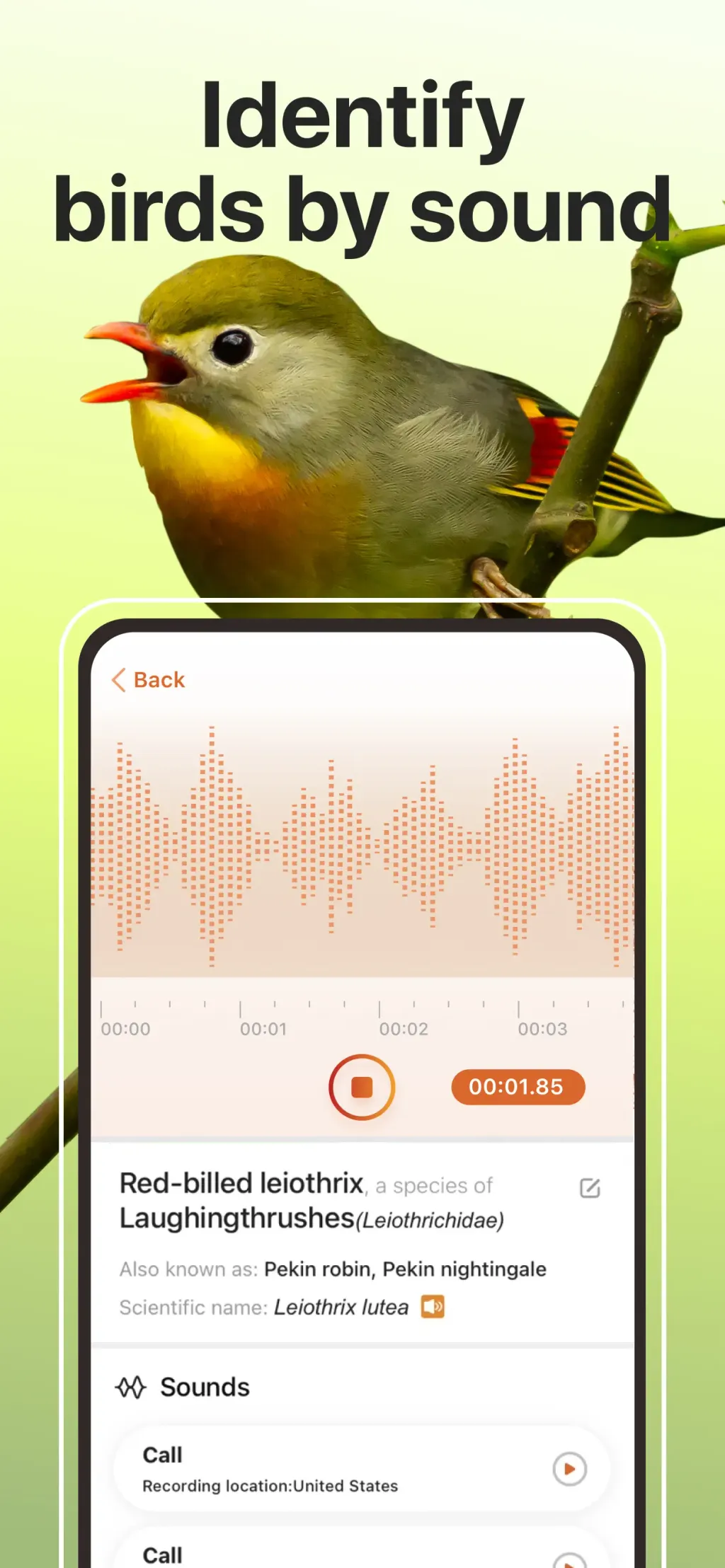 Picture Bird: Bird identifier screenshot 1