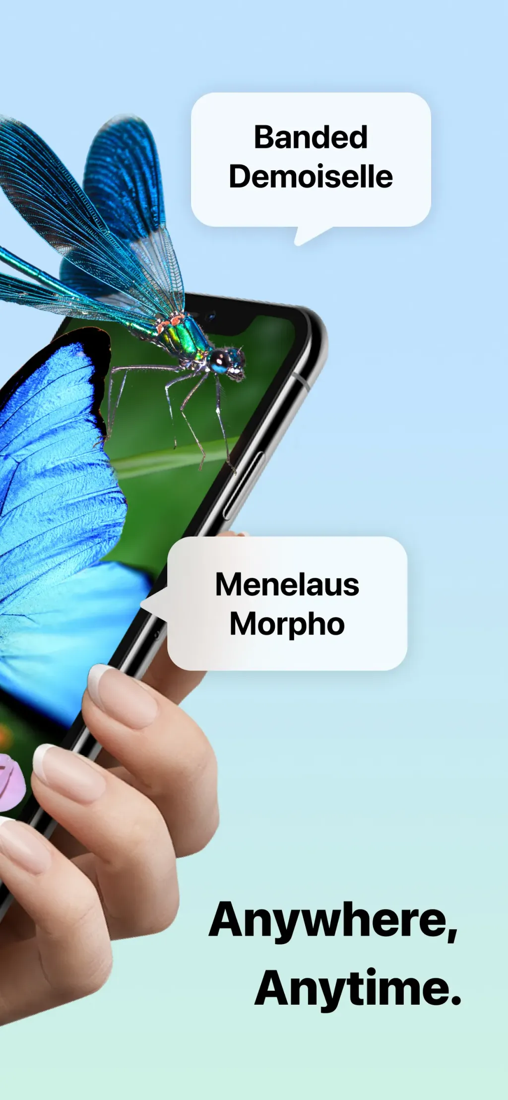 Picture Insect: Bug Identifier App Store screenshot 2
