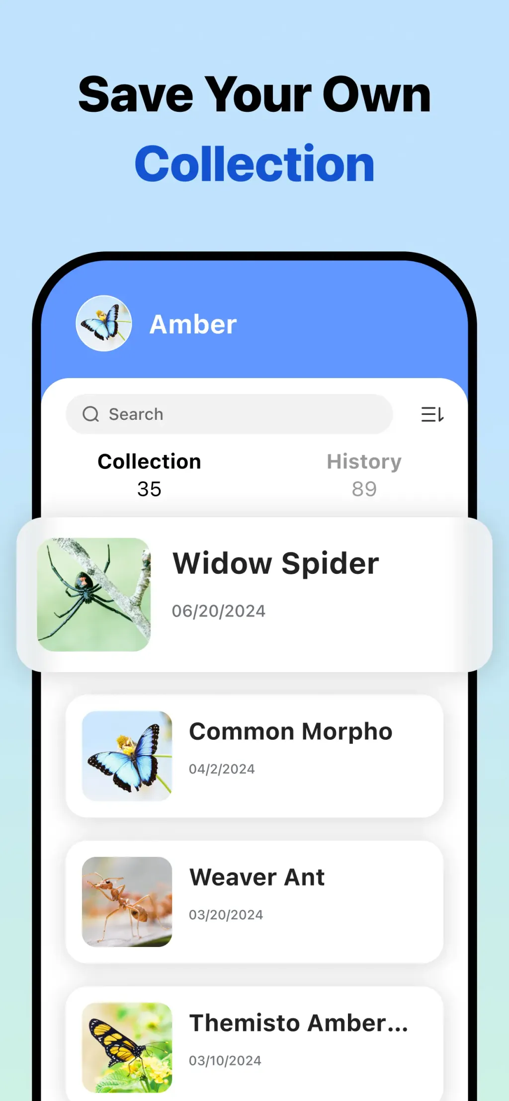Picture Insect: Bug Identifier App Store screenshot 6