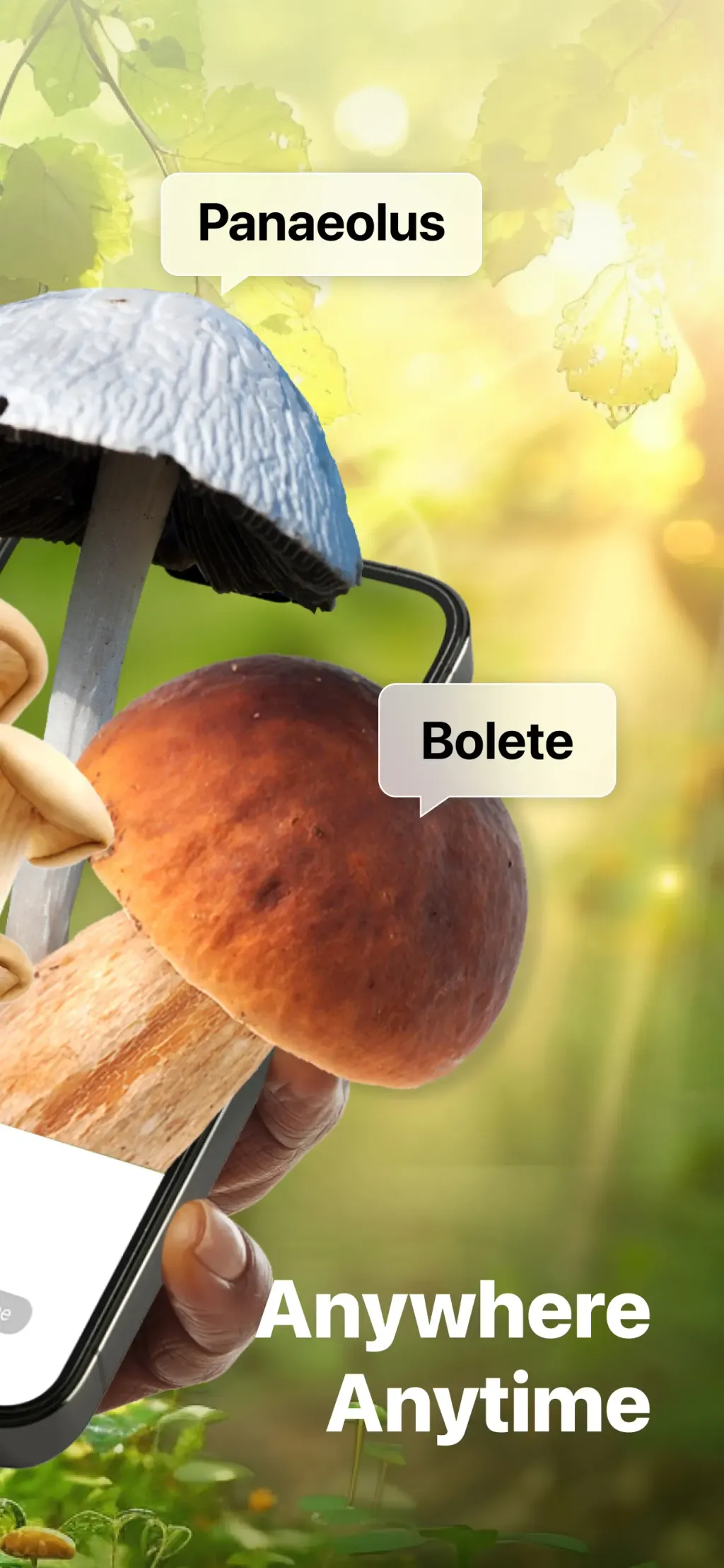 Picture Mushroom: Identifier App Store screenshot 2
