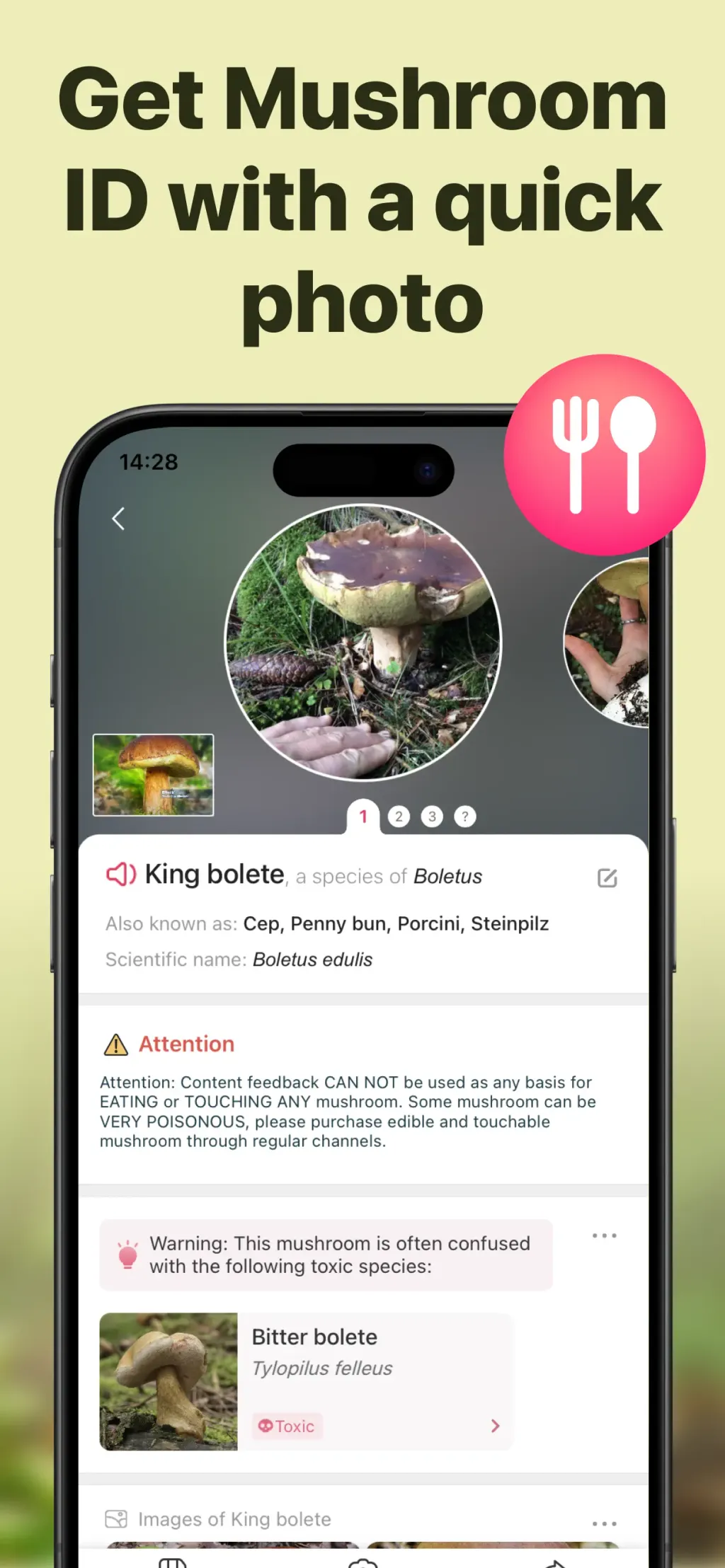 Picture Mushroom: Identifier App Store screenshot 3