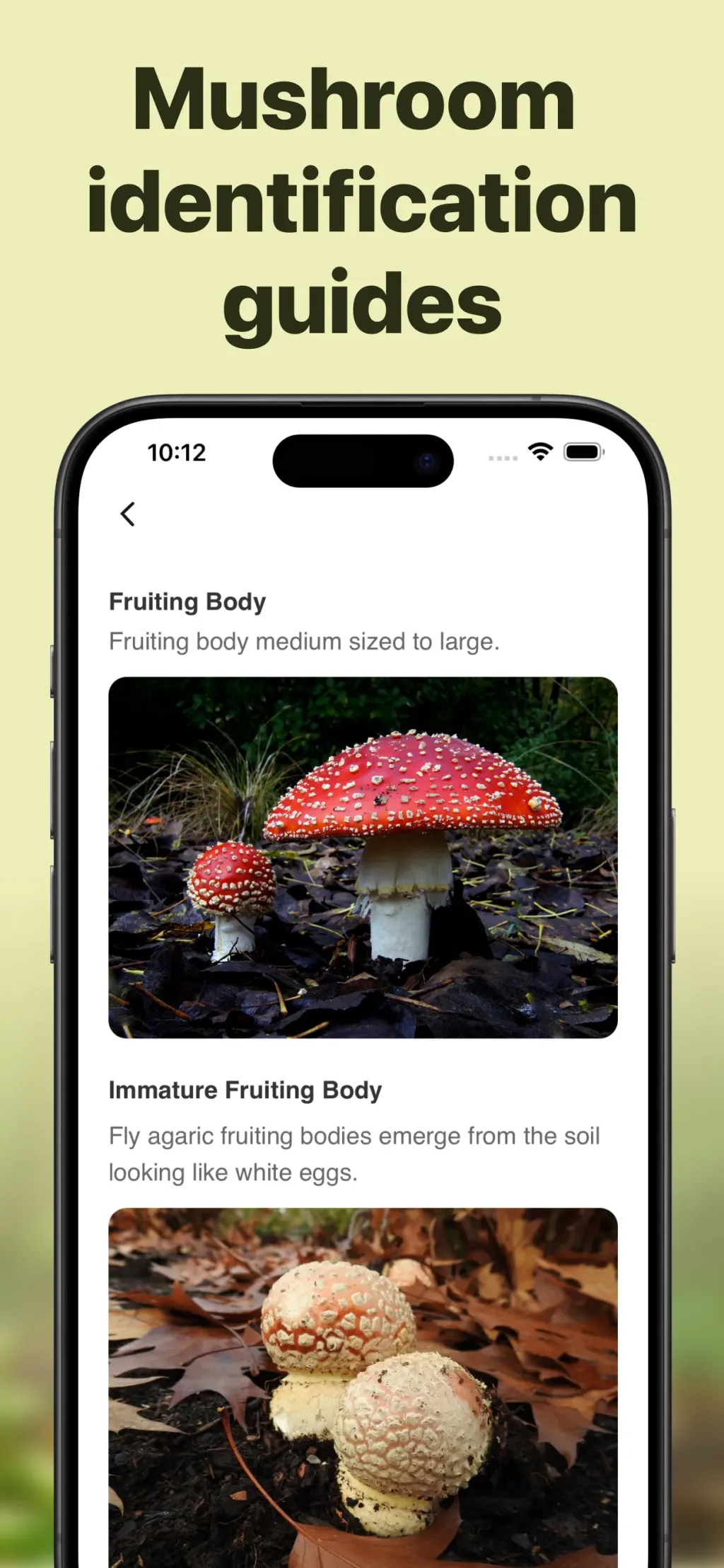 Picture Mushroom: Identifier App Store screenshot 5