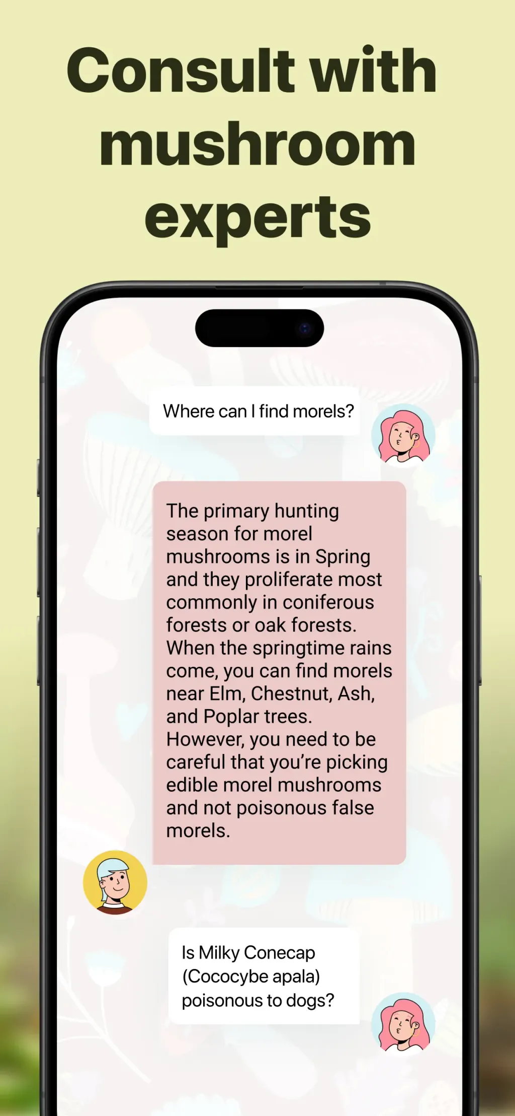 Picture Mushroom: Identifier App Store screenshot 6