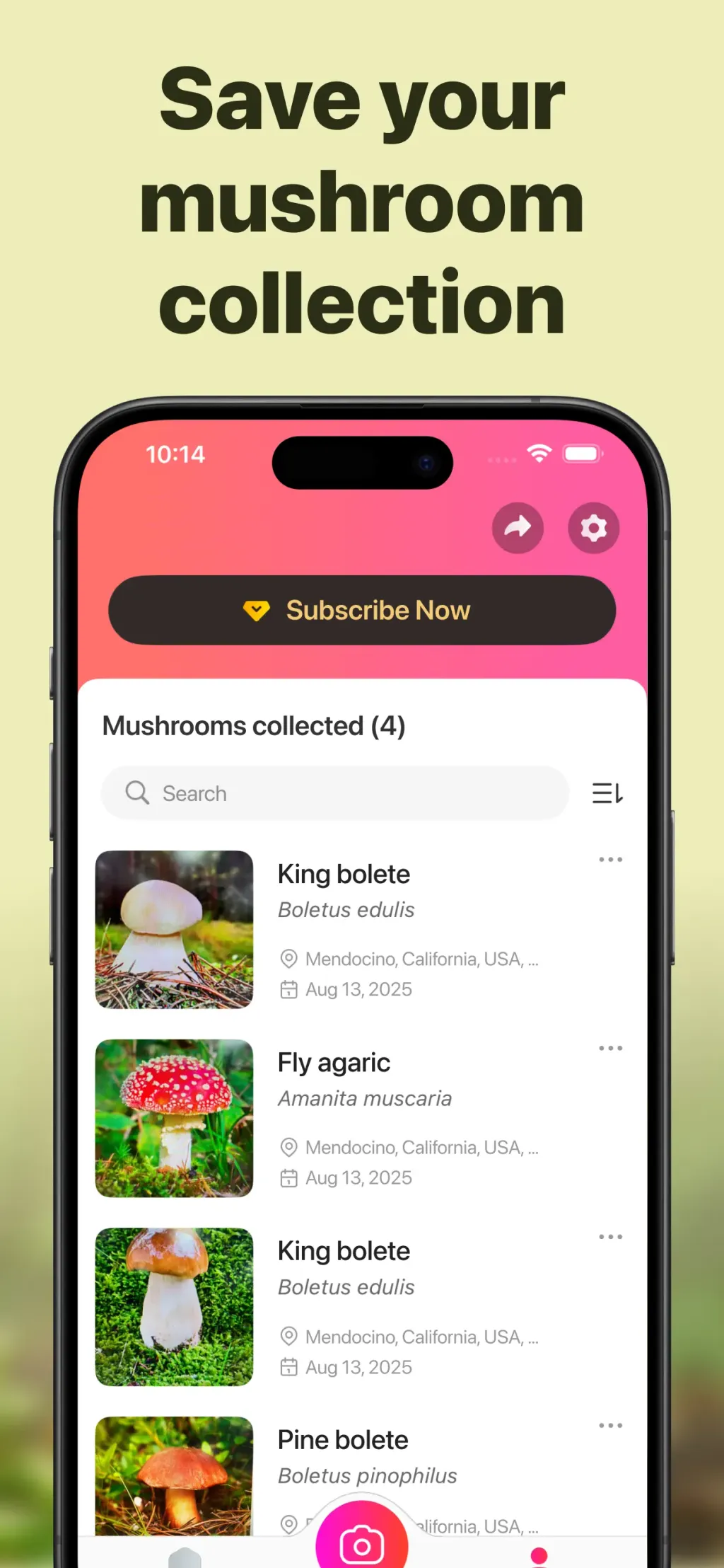 Picture Mushroom: Identifier App Store screenshot 7