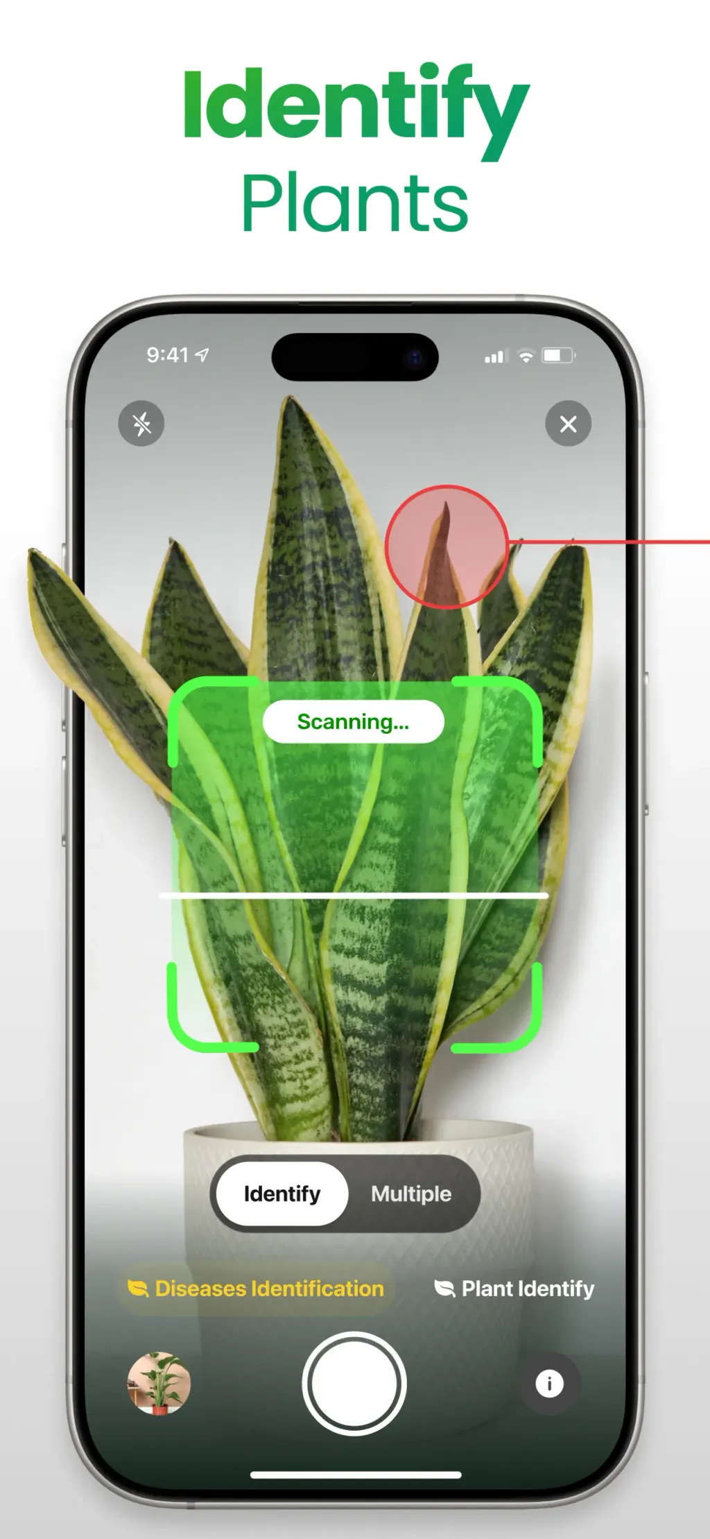 Plant App: Plant Identifier screenshot 1