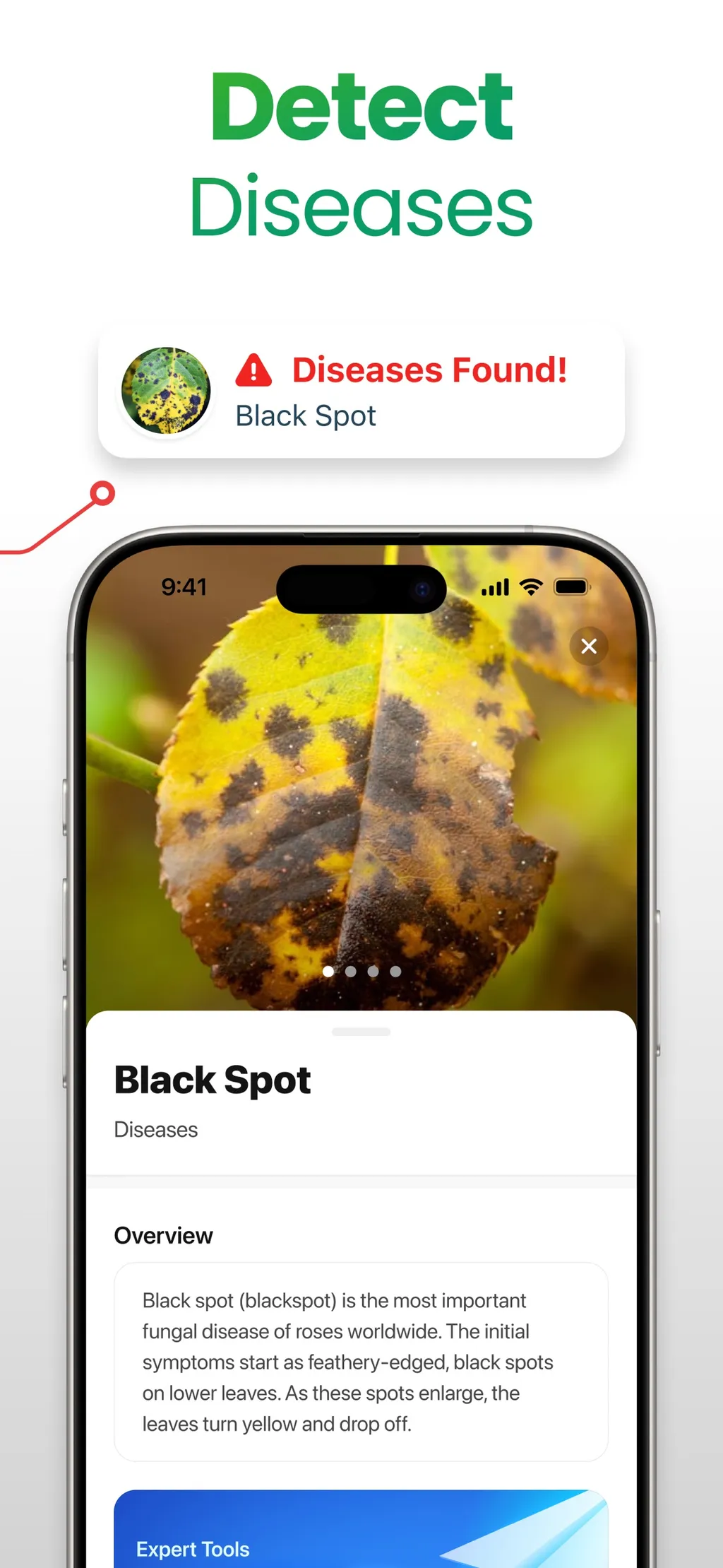 Plant App: Plant Identifier App Store screenshot 2